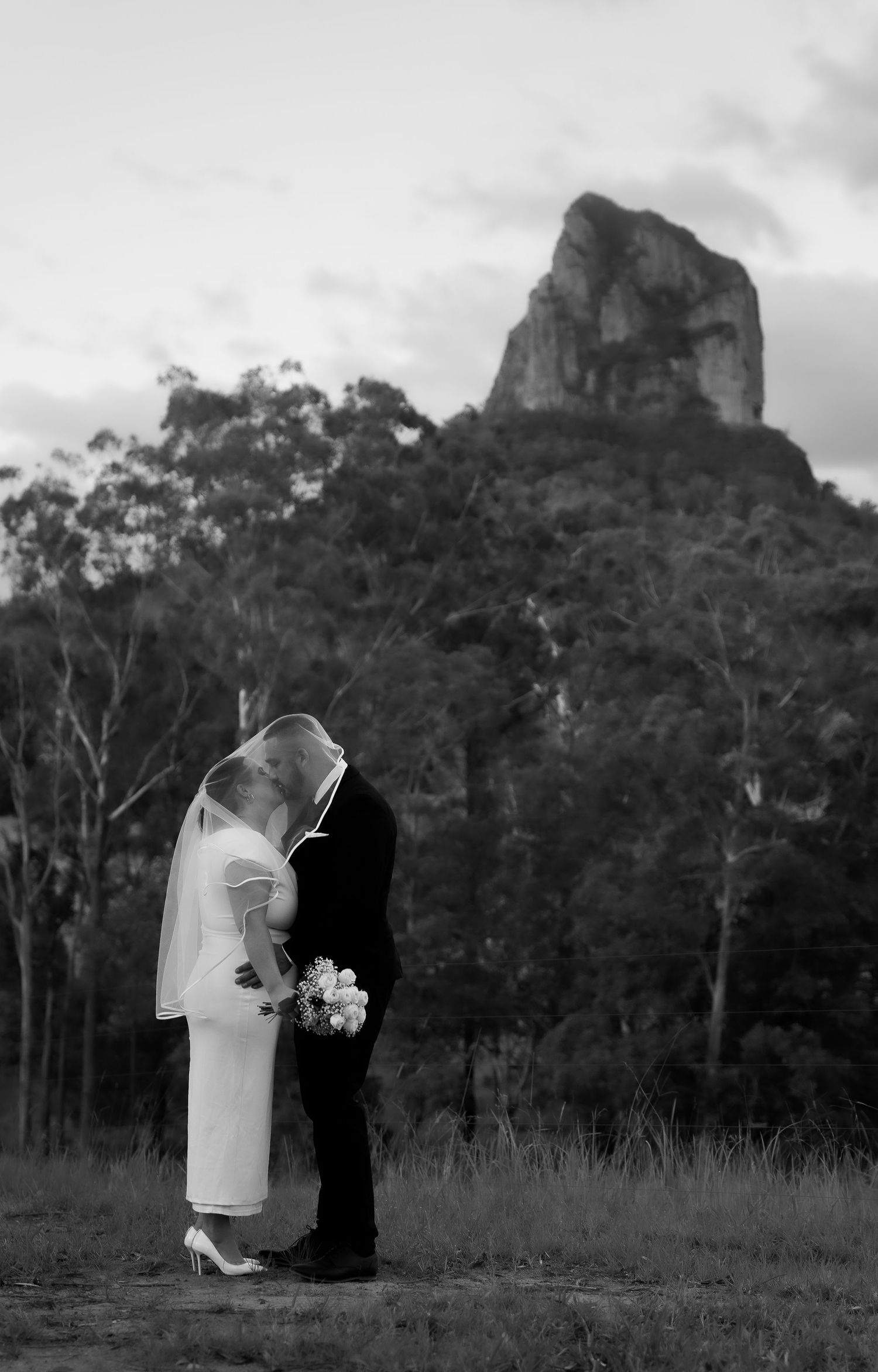 A black and white wedding photo sequence showing a couple embracing in a field with mountains and trees in the background.