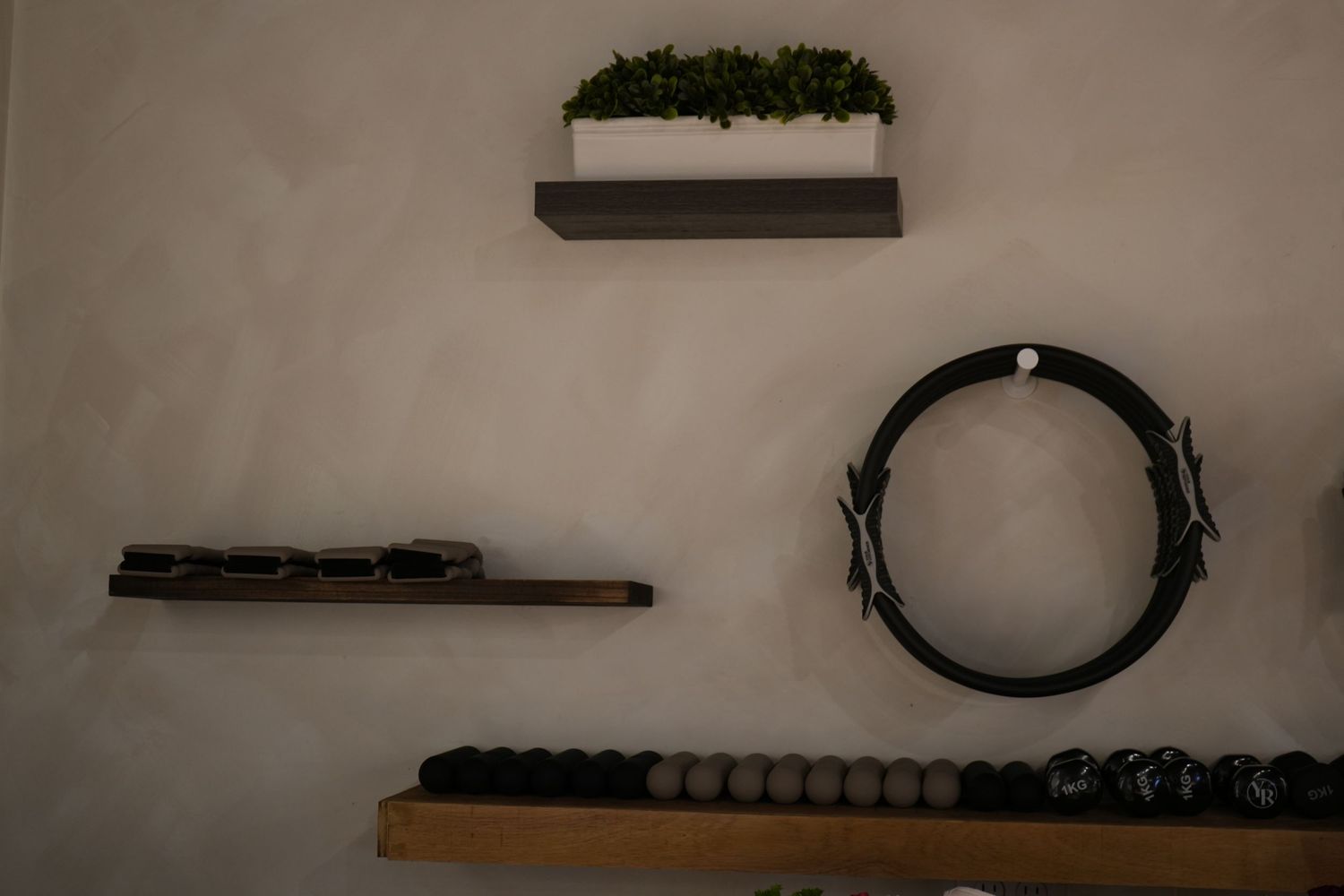 Wall-mounted shelves displaying green plants, a circular ring, decorative chain, and black exercise balls in a minimalist studio.