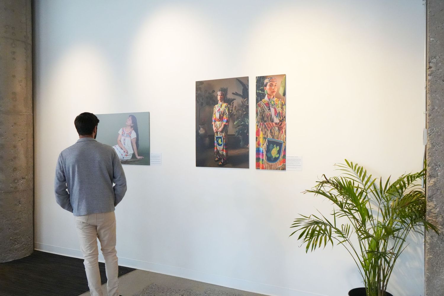 A man views colorful figurative paintings on a white gallery wall beside a tropical plant in a modern art exhibition.