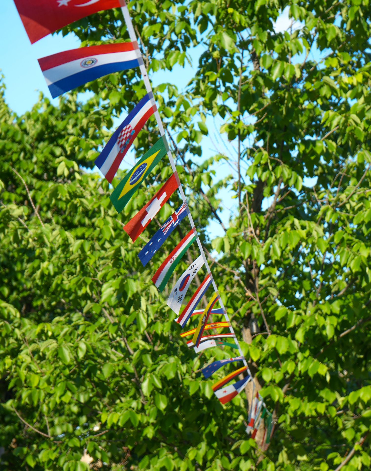 Colorful international flags on a string displayed against lush green trees and blue sky.