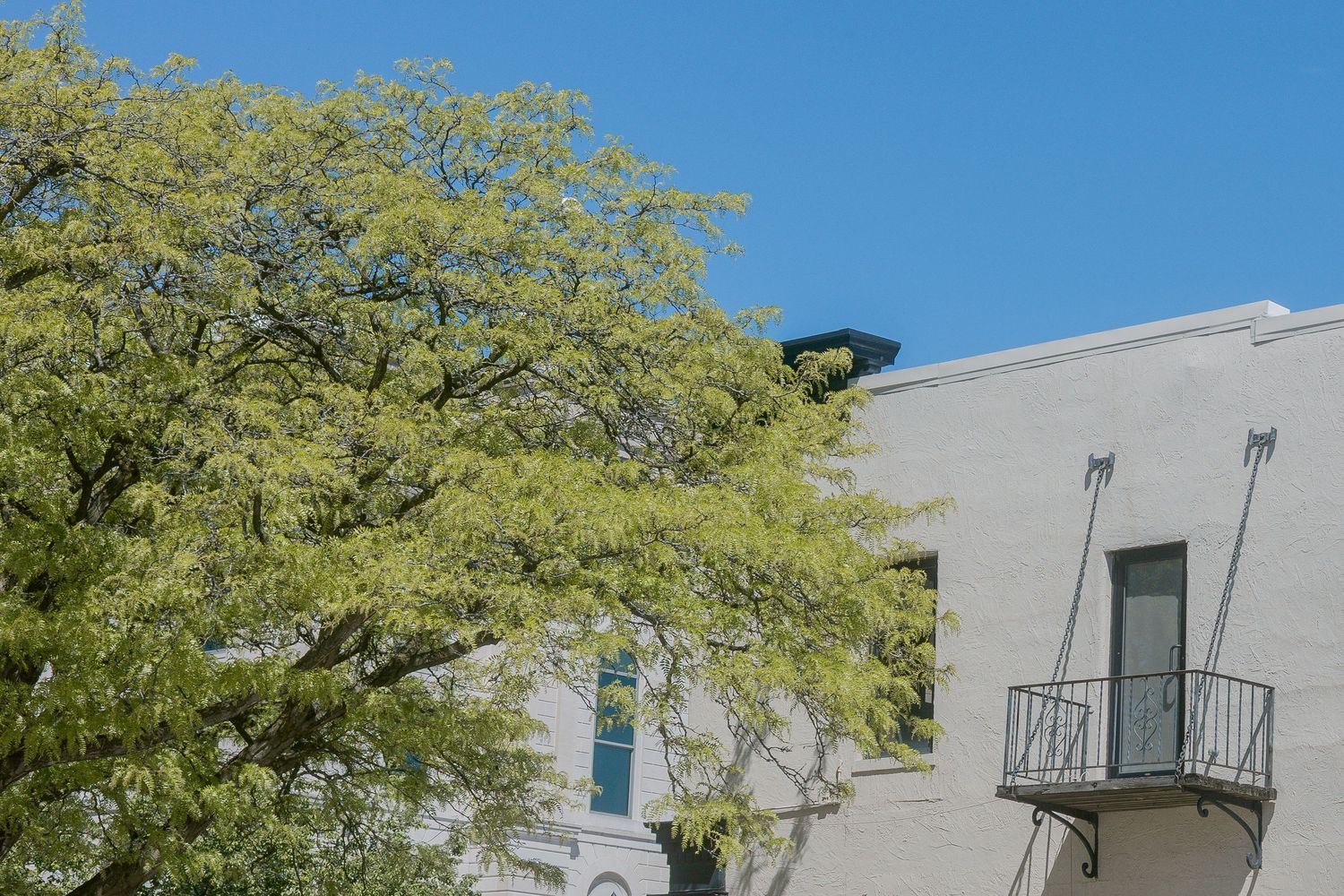 A white building with a balcony and fire escape beside a lush green tree under a clear blue sky.