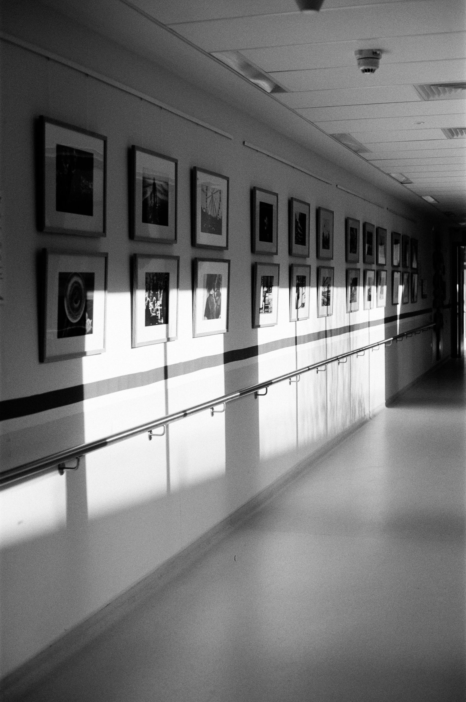 Empty hospital hallway with framed artwork on walls and natural light casting shadows on floor.