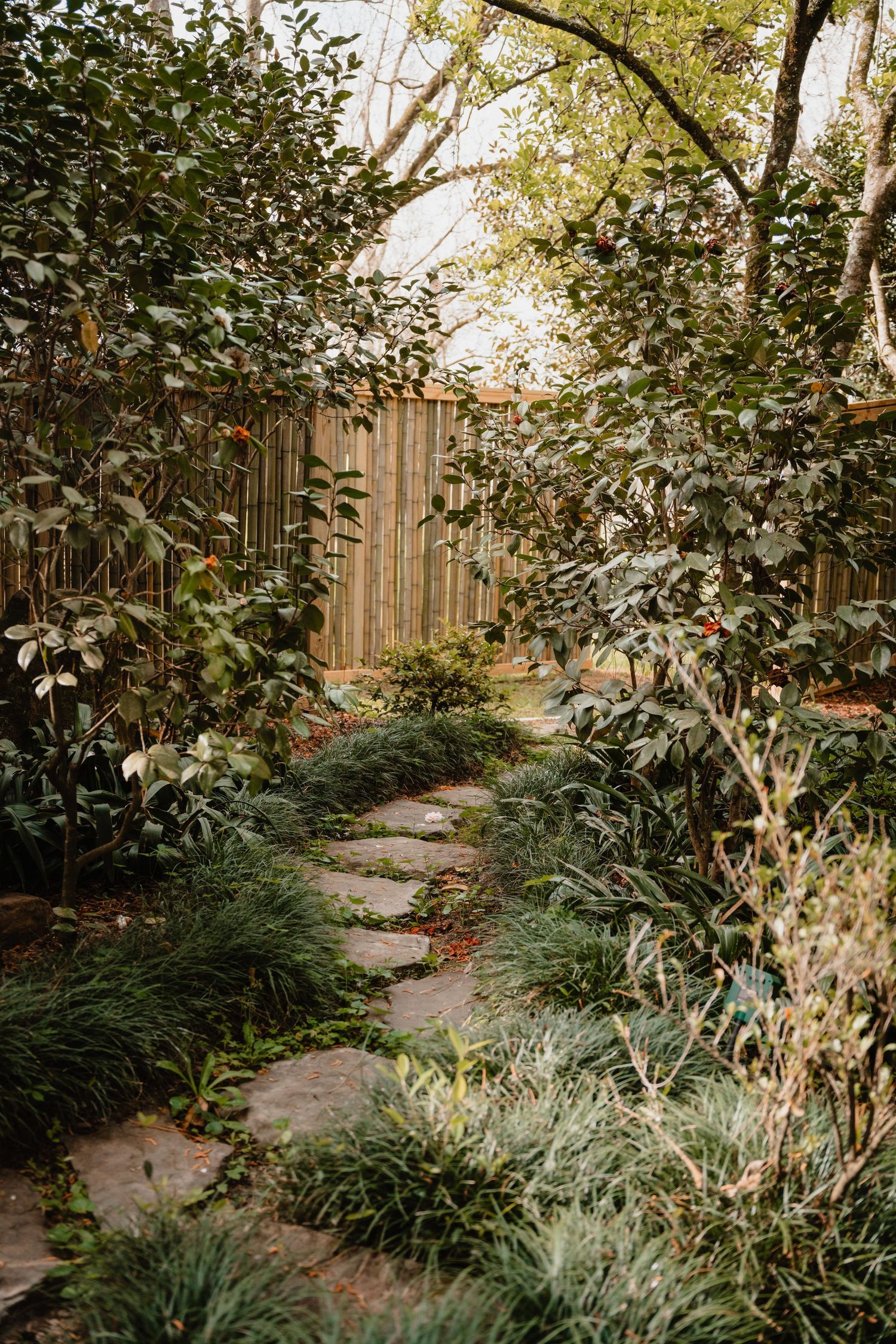 A lush, overgrown garden path with a wooden fence, surrounded by vibrant greenery and natural foliage.