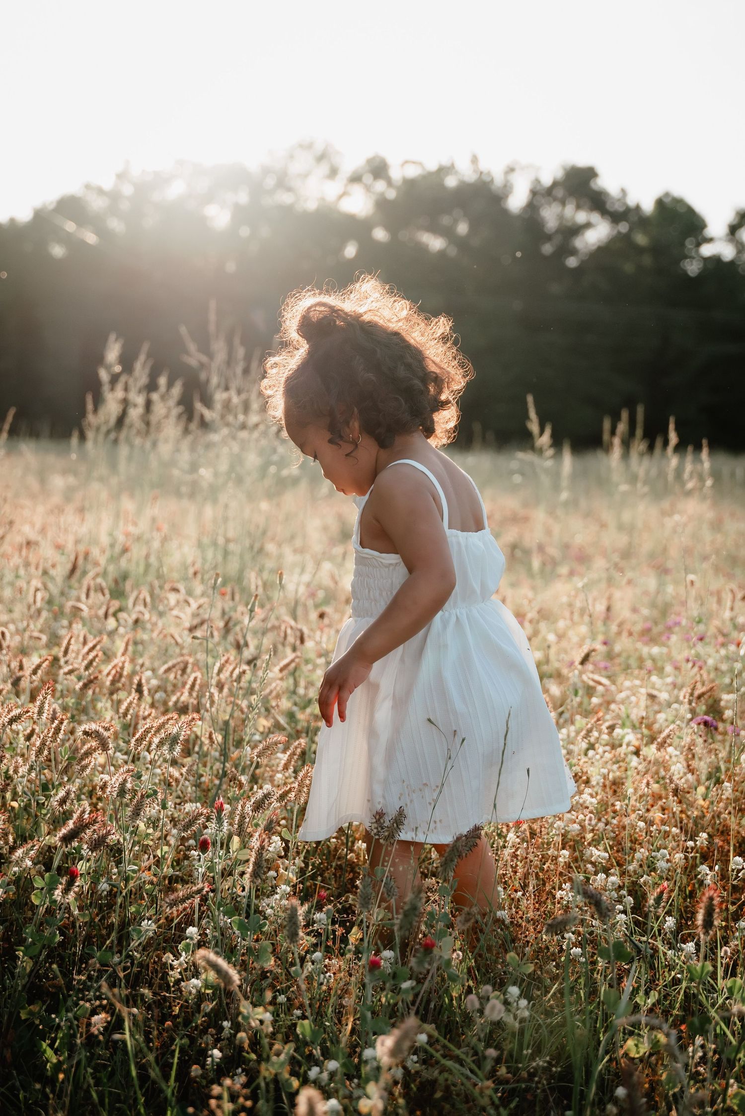 Two children in white dresses explore a sunlit wildflower meadow during golden hour.