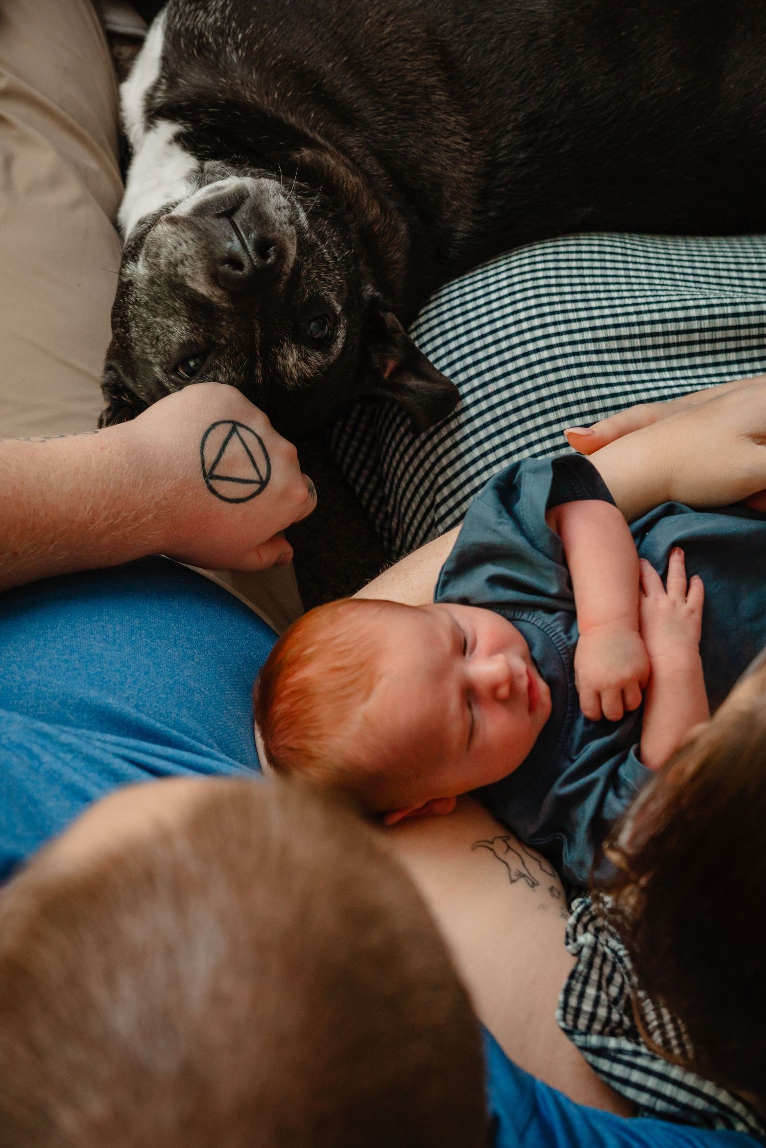 Dog resting near newborn during in-home lifestyle newborn session Warner Robins Georgia.