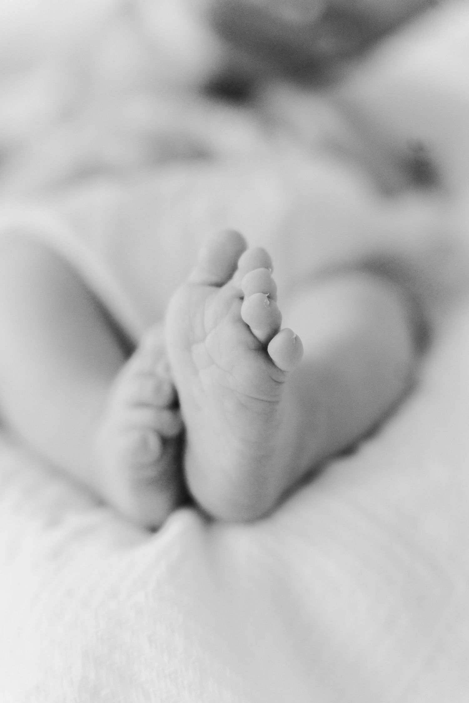 Close-up black and white photo of tiny newborn baby feet against soft white fabric background.