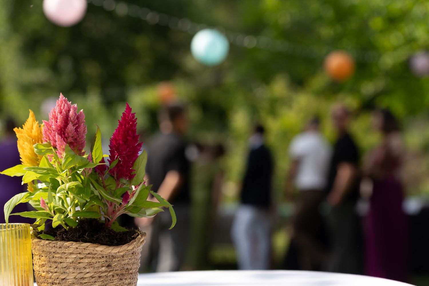 Colorful celosia flowers in a woven pot on a white table at an outdoor garden party event.