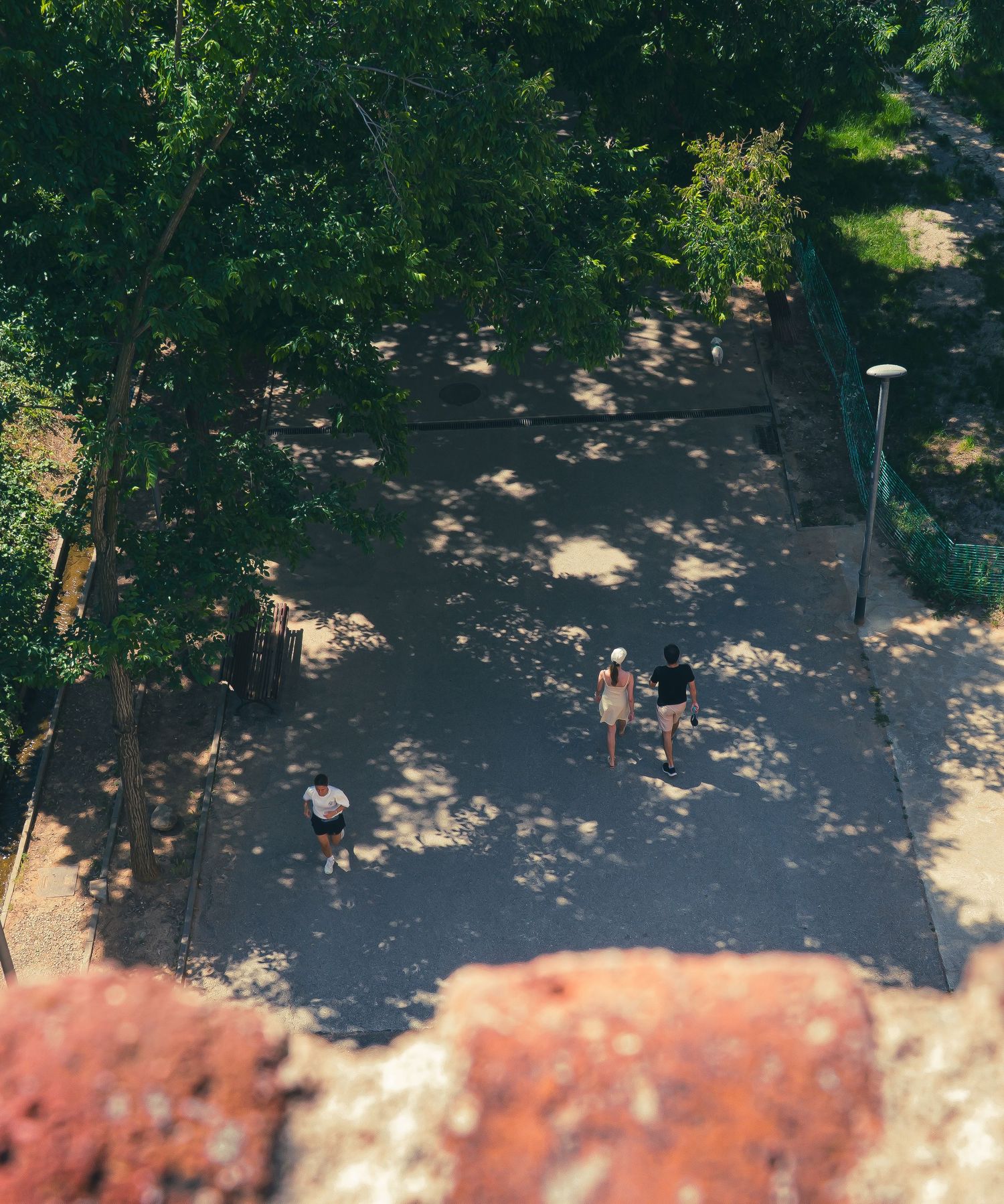 Vista aérea de un frondoso parque con árboles que proyectan sombras sobre un sinuoso sendero durante un día soleado.