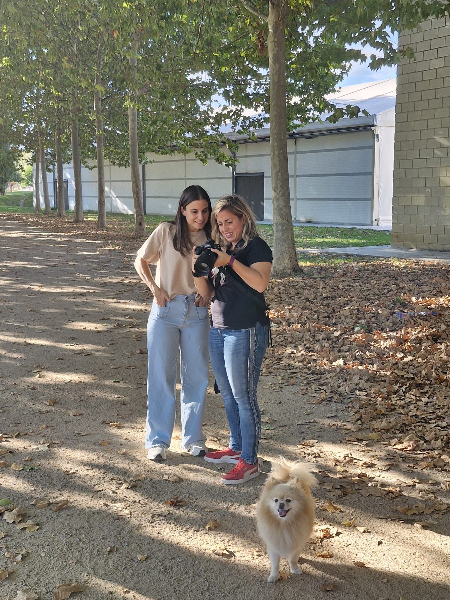 Fotógrafa muestra a cliente fotos de un peludo perro pomerania en un entorno boscoso al aire libre.