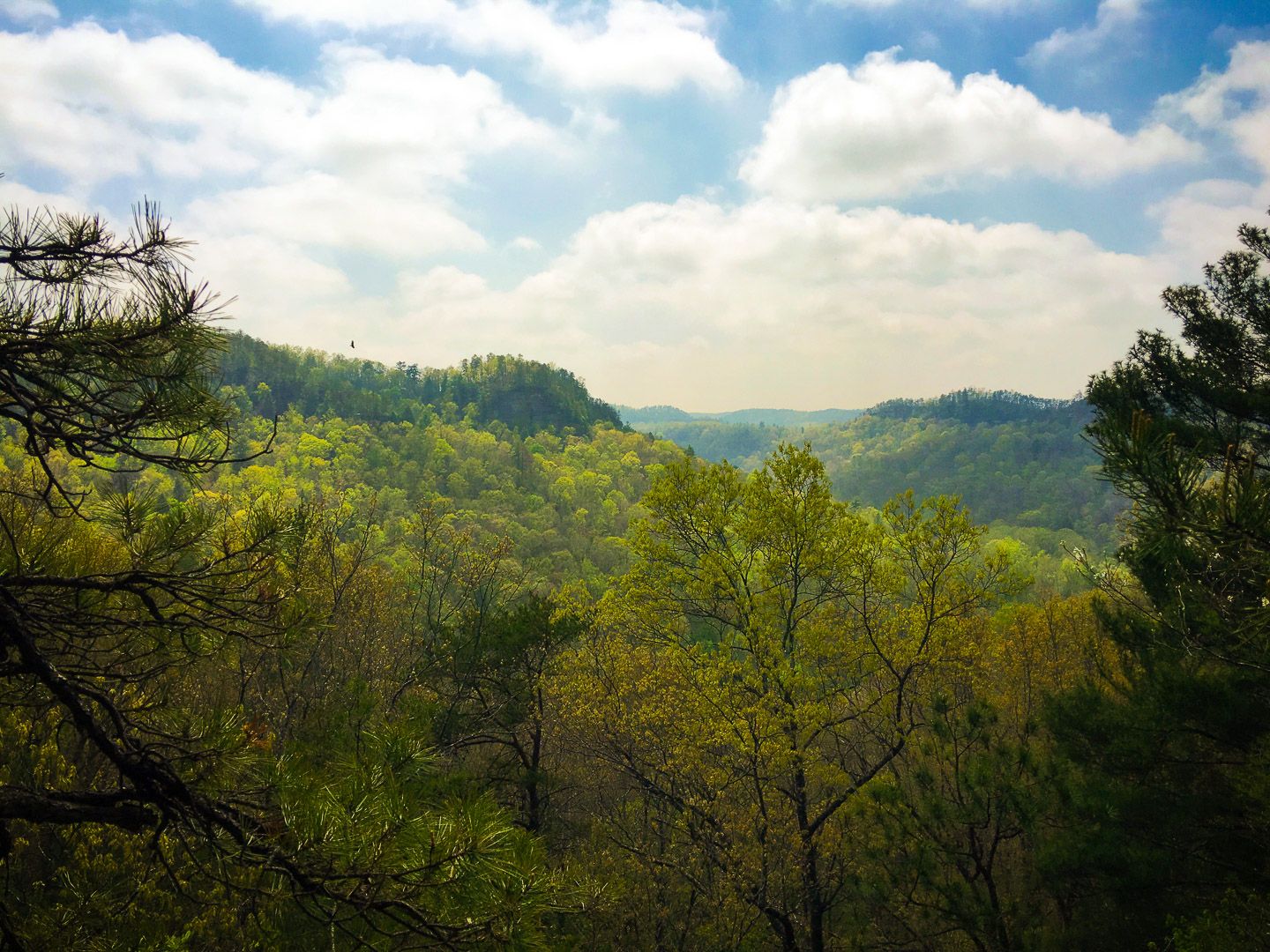 Scenic view of Red River Gorge, Kentucky with green hills, forest, and blue sky — captured in natural light, springtime landscape.