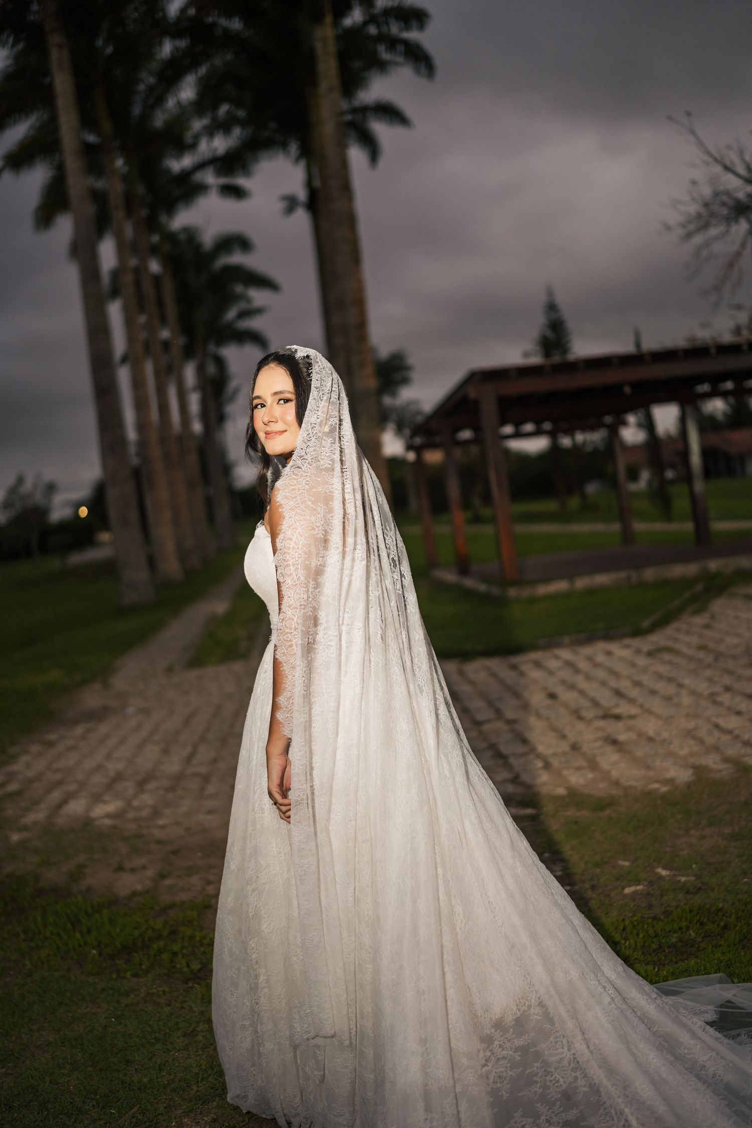 A dramatic bridal portrait series with a flowing cathedral veil against a moody sky and palm trees.