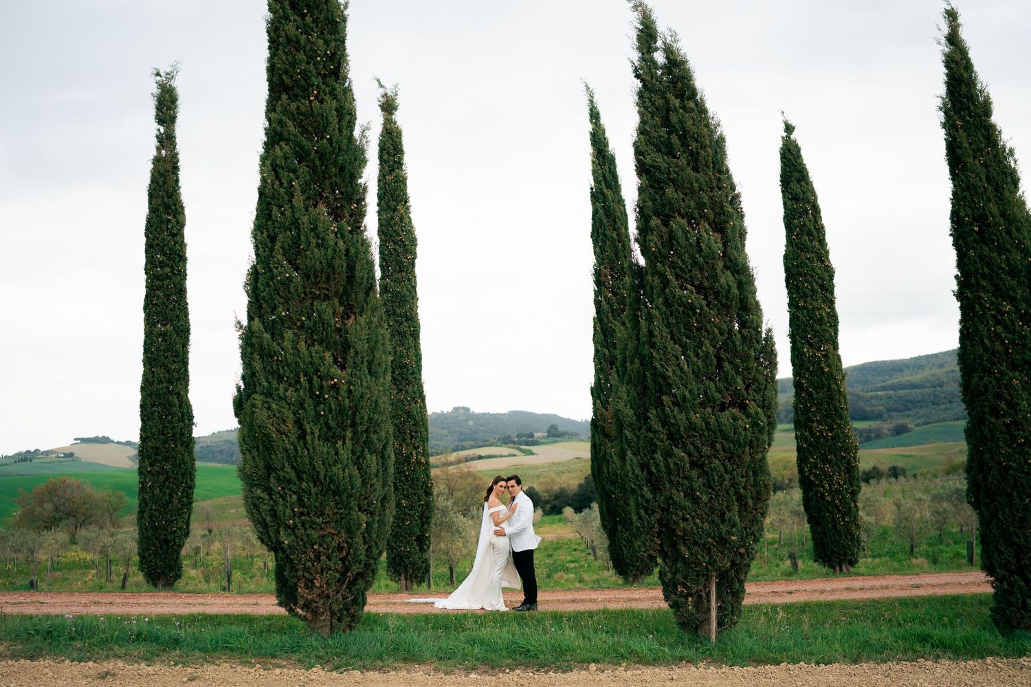 Tall cypress trees line a winding dirt path through rolling Tuscan countryside on a sunny summer day.