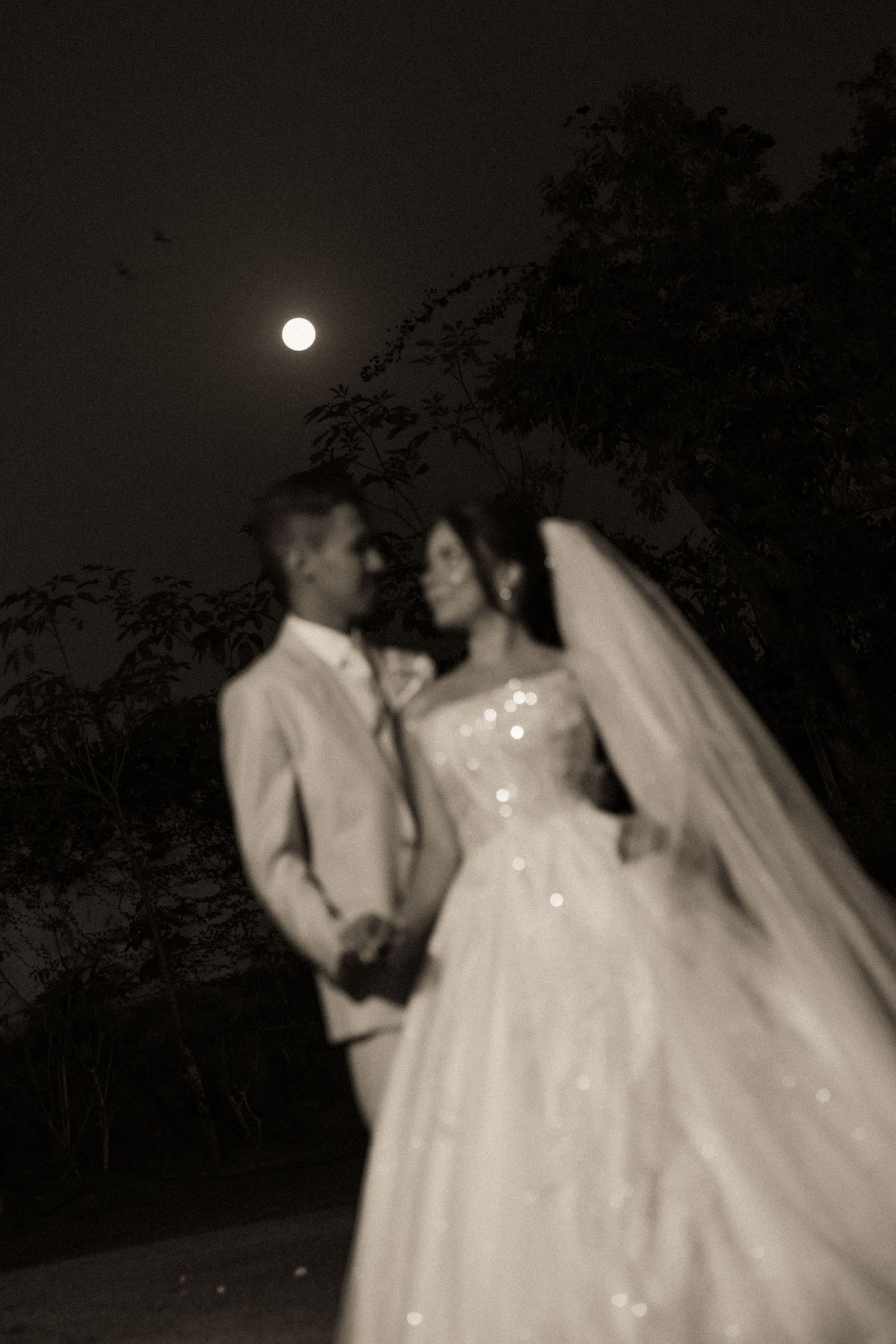 A romantic moonlit wedding scene with a flowing white dress and veil.