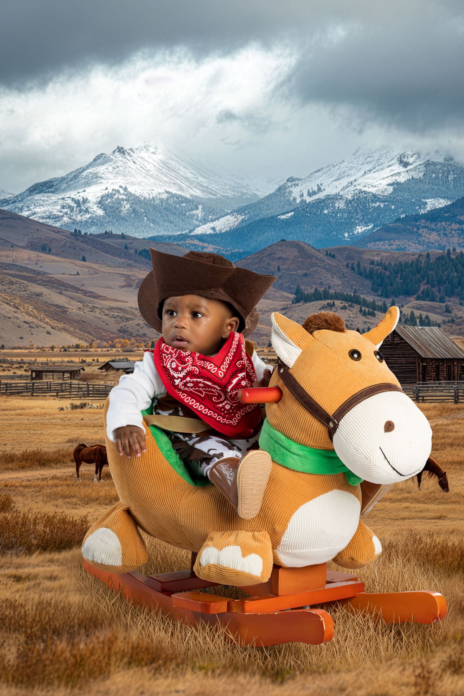 A plush rocking horse toy sits in a field with snow-capped mountains and dramatic cloudy skies in the background.