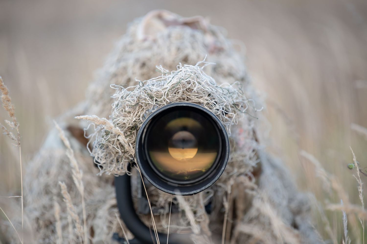 Camouflaged photographer hiding in tall grass, capturing wildlife with a large telephoto camera lens.