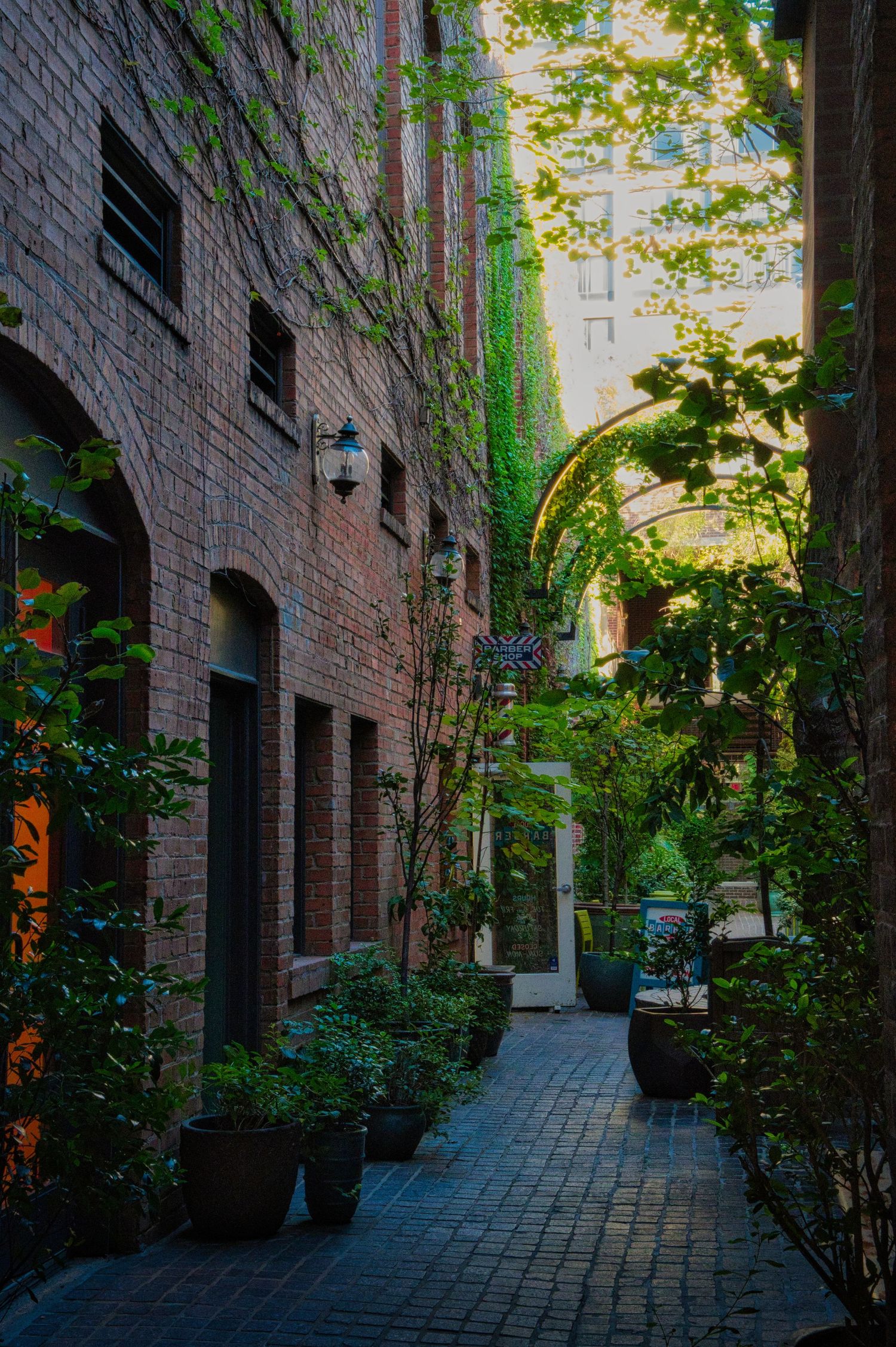 A charming brick-lined alleyway with lush greenery and cobblestone path leads between historic buildings in Boston.