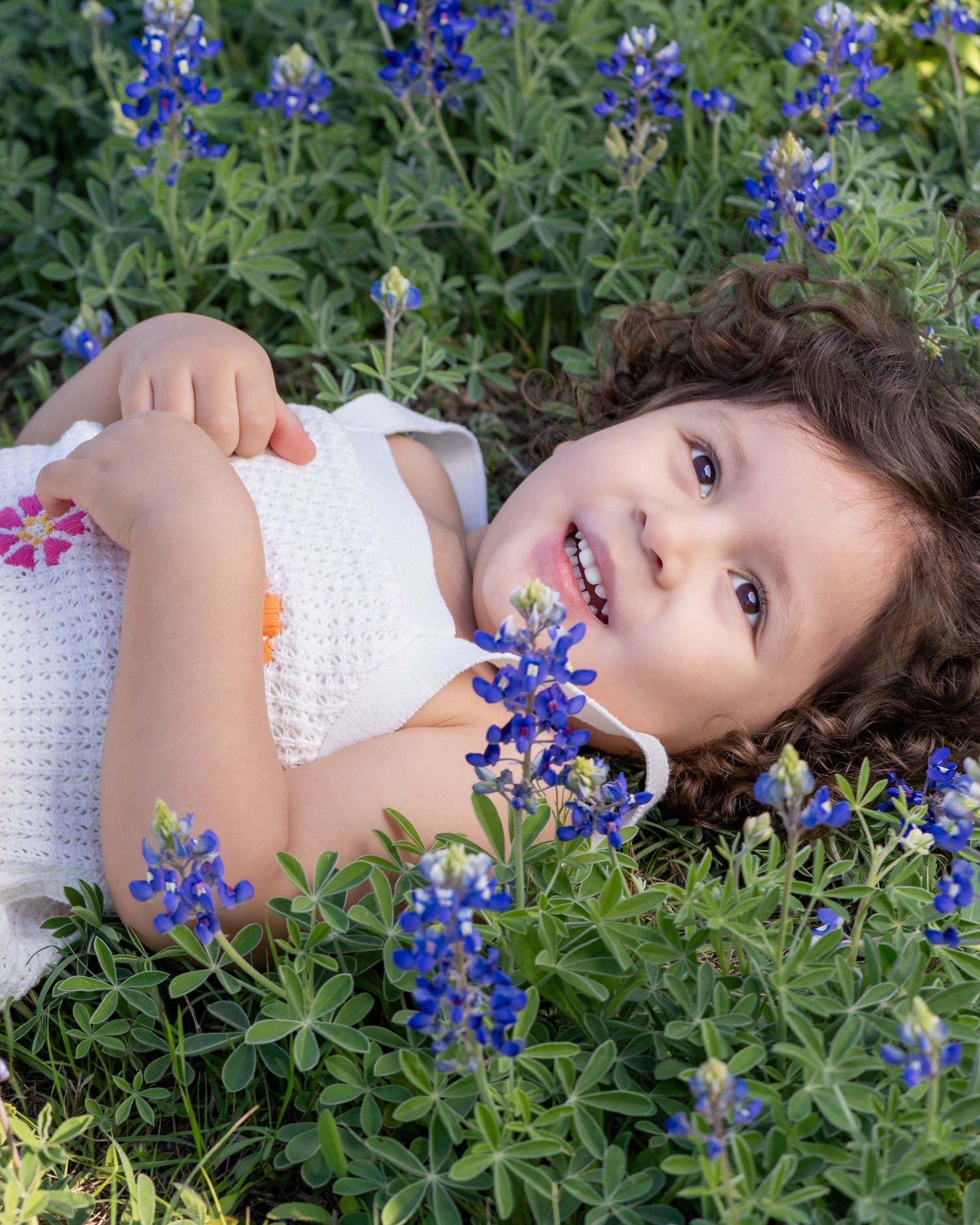 A figure lies in a field of vibrant Texas bluebonnets creating an artistic spring portrait composition.