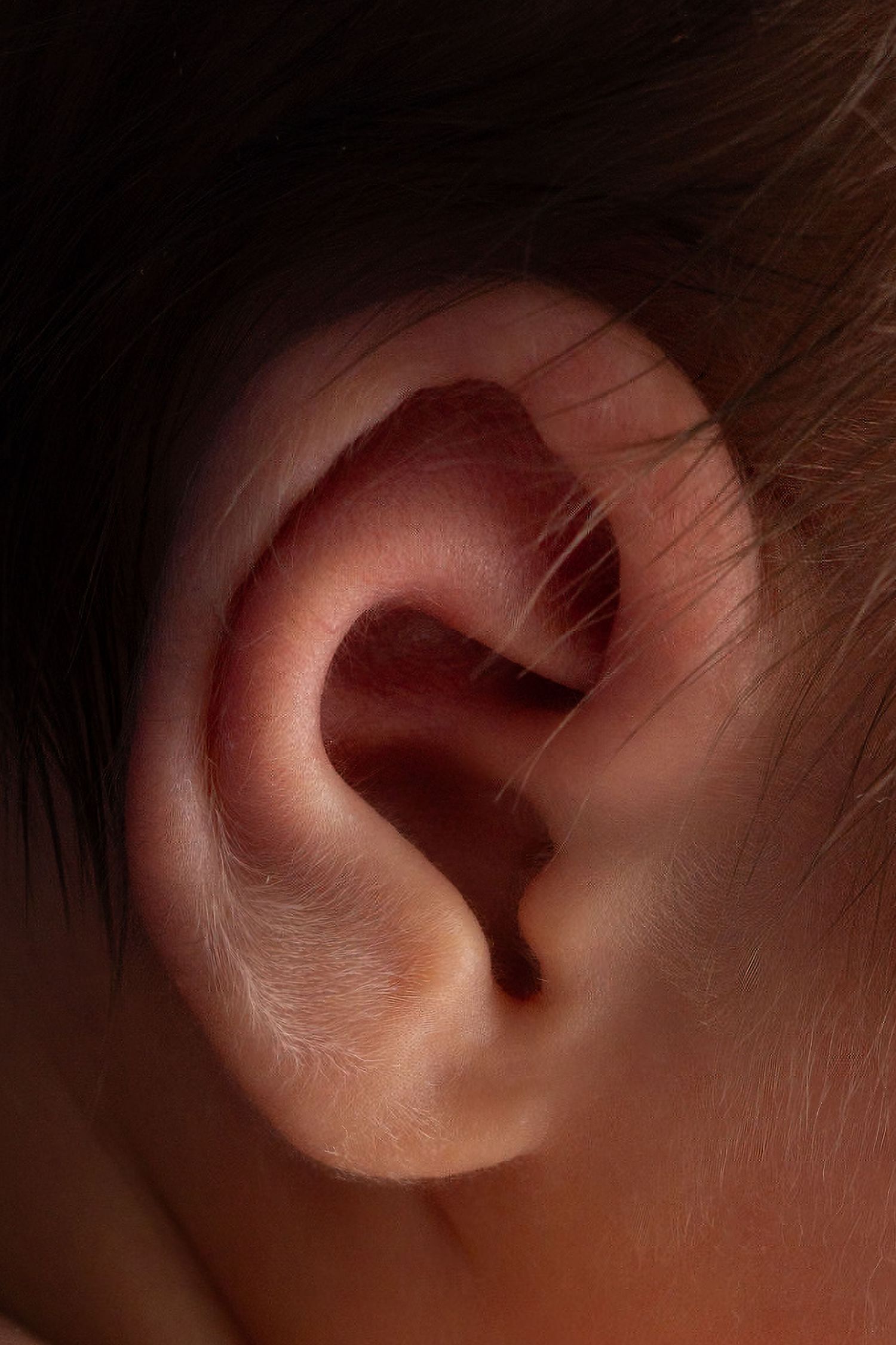 Close-up macro photo of a human ear showing detailed skin texture and ear canal anatomy.