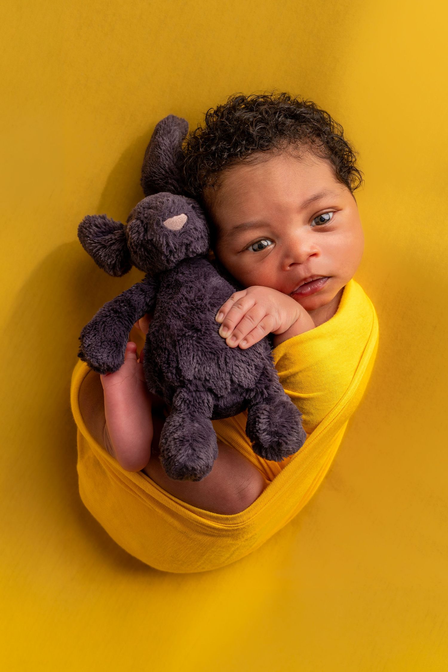 Newborn baby wrapped in yellow swaddle holding a purple stuffed elephant toy on a yellow background.