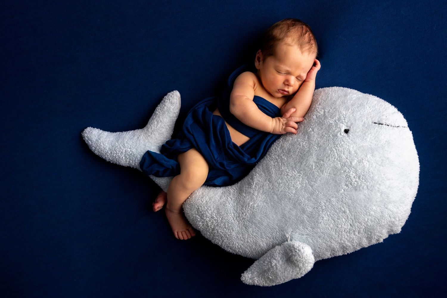 Newborn baby sleeping peacefully on a gray whale stuffed animal against a dark blue background.