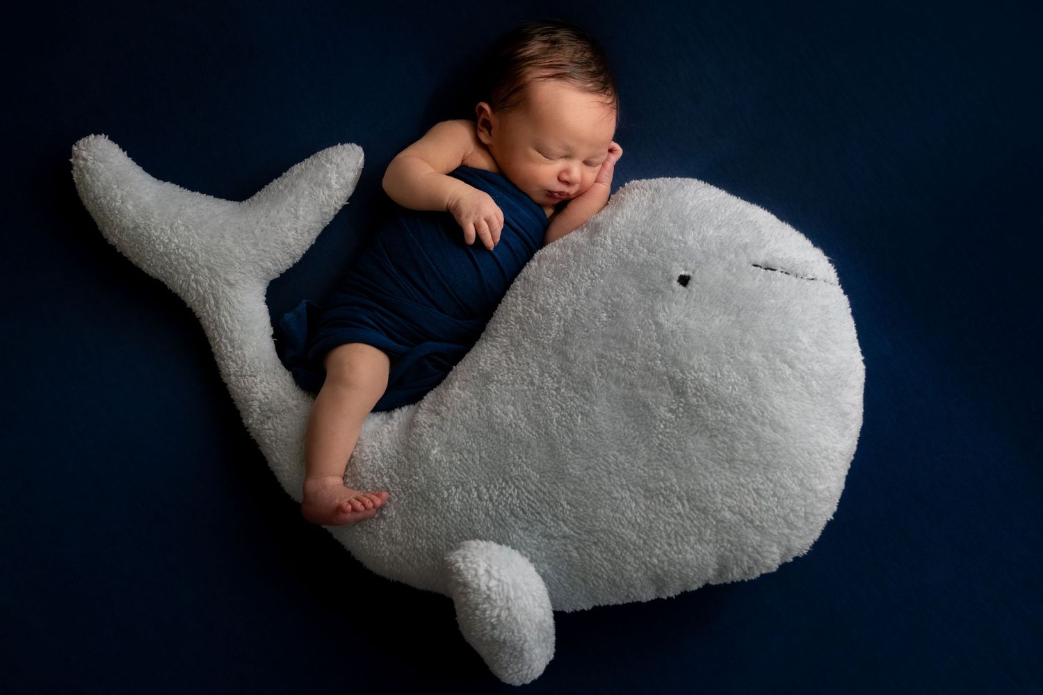Newborn baby sleeping peacefully on a large plush whale stuffed animal against a dark blue background.