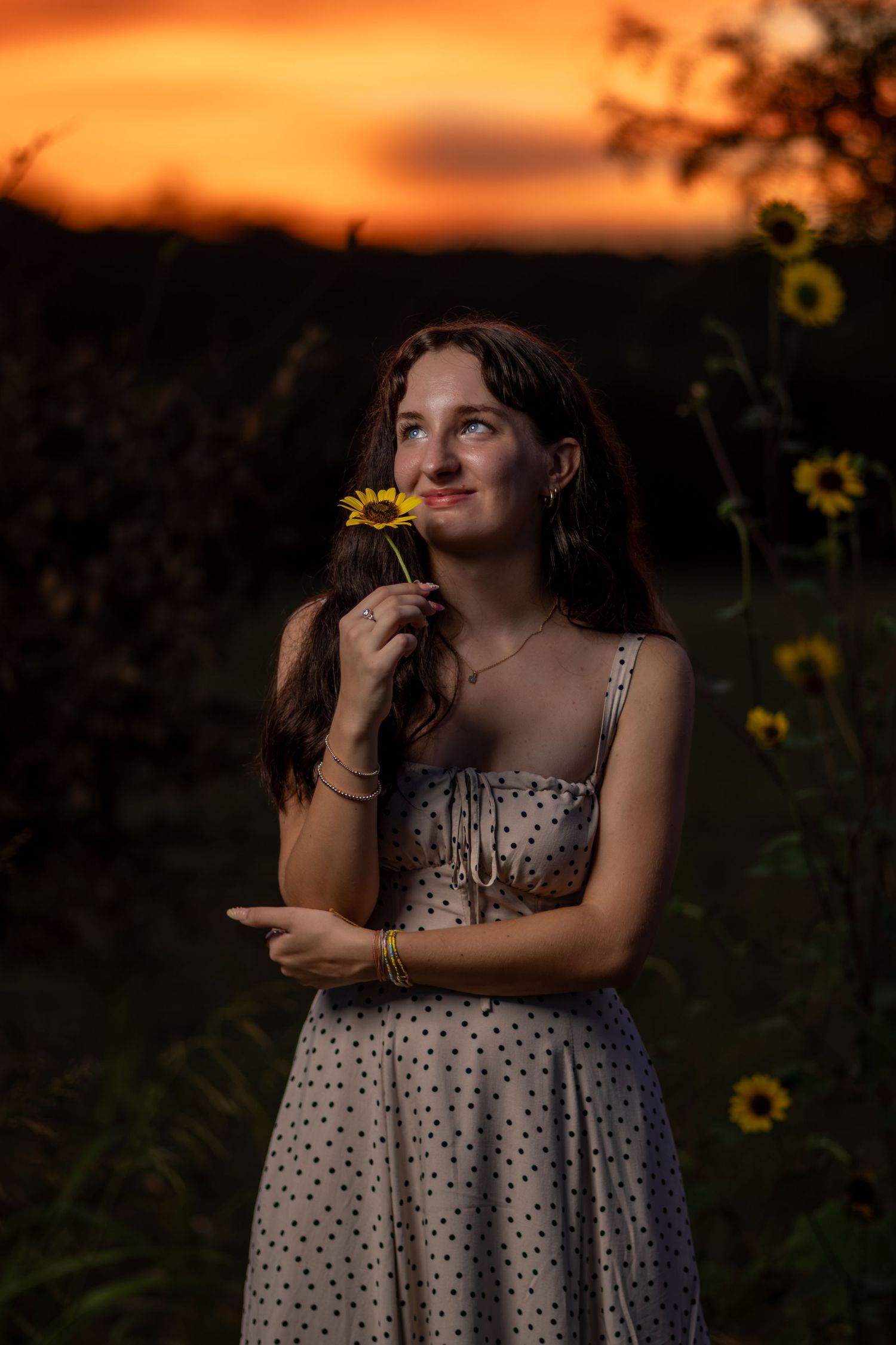 Young woman in polka dot dress holding a yellow sunflower at golden hour sunset in a sunflower field.