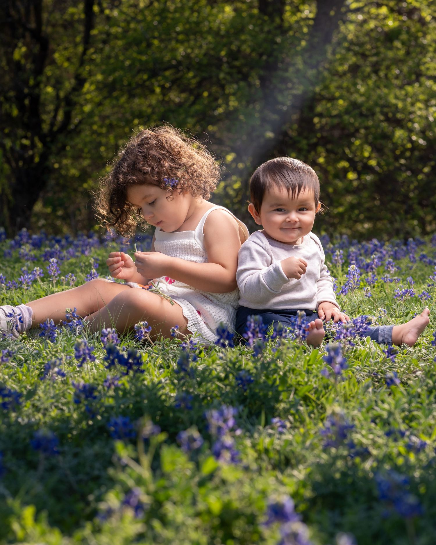 Children lying in a field of blooming bluebonnets on a sunny spring day.
