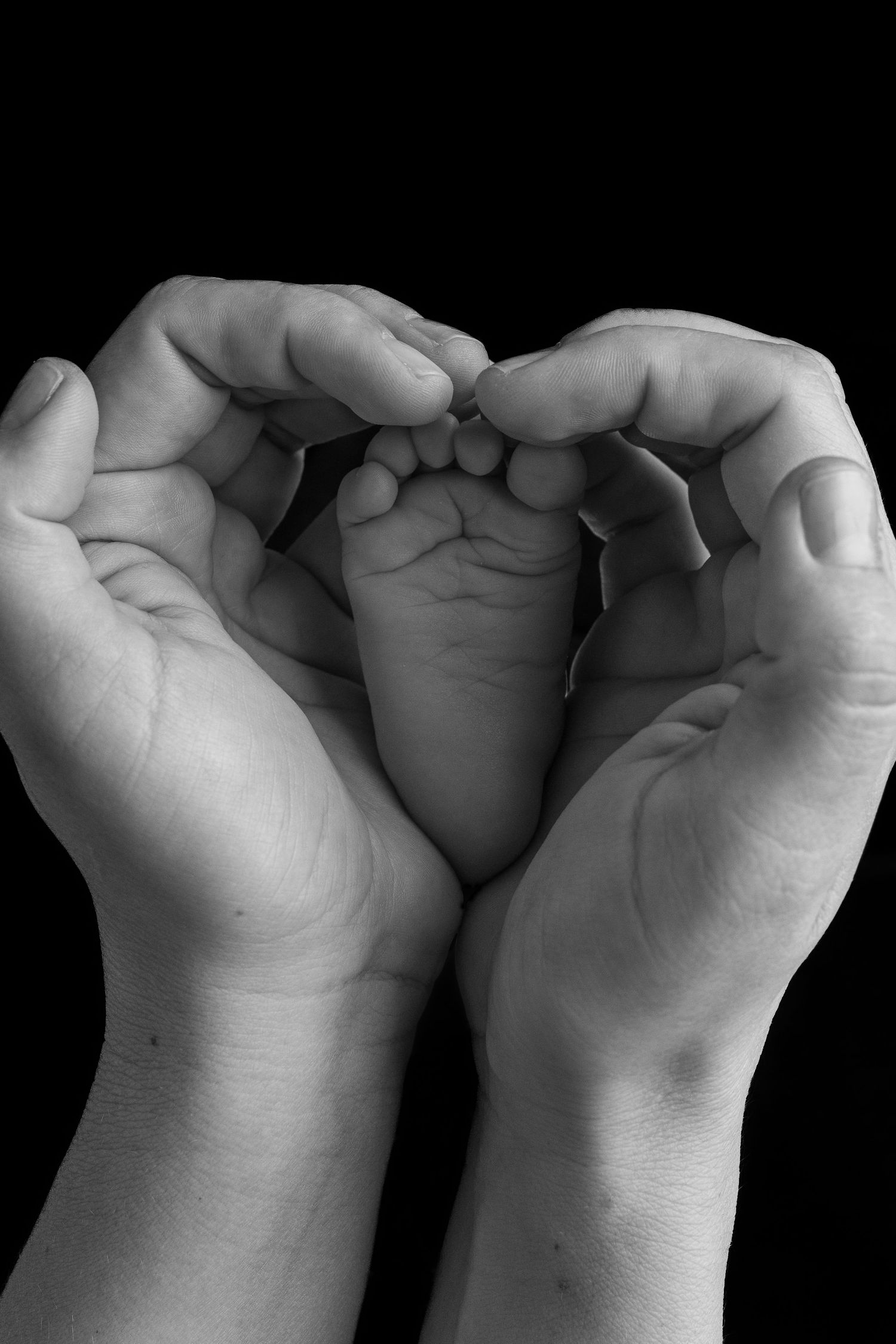 Black and white photo of adult hands forming a heart shape cradling tiny newborn baby feet.
