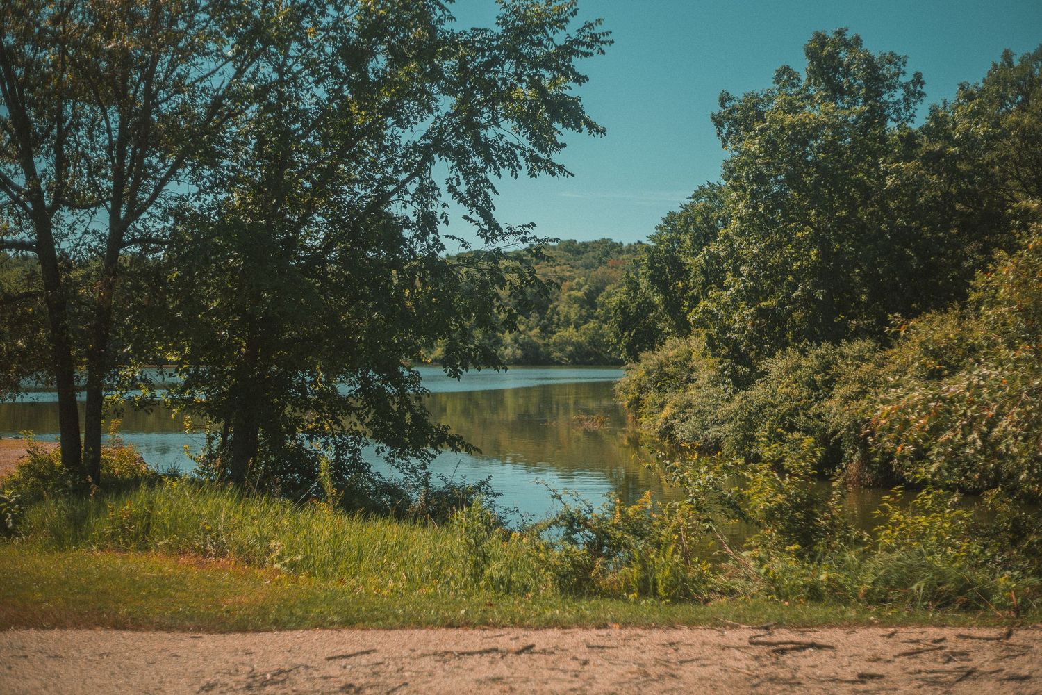 Serene river landscape surrounded by lush green trees and sandy shore under a clear blue sky.