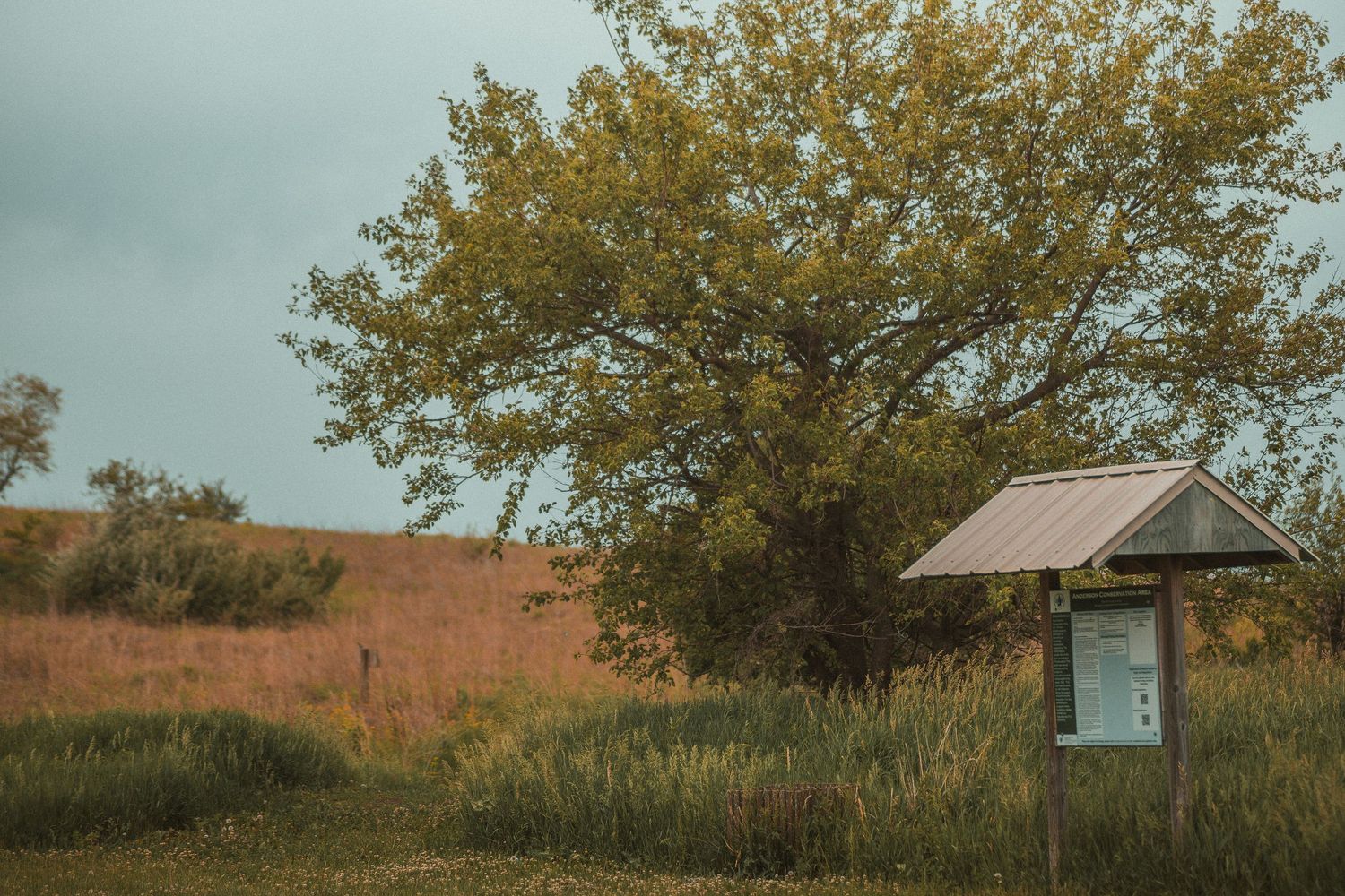An informational kiosk with a metal roof stands in a grassy meadow beside a large tree under a cloudy sky.