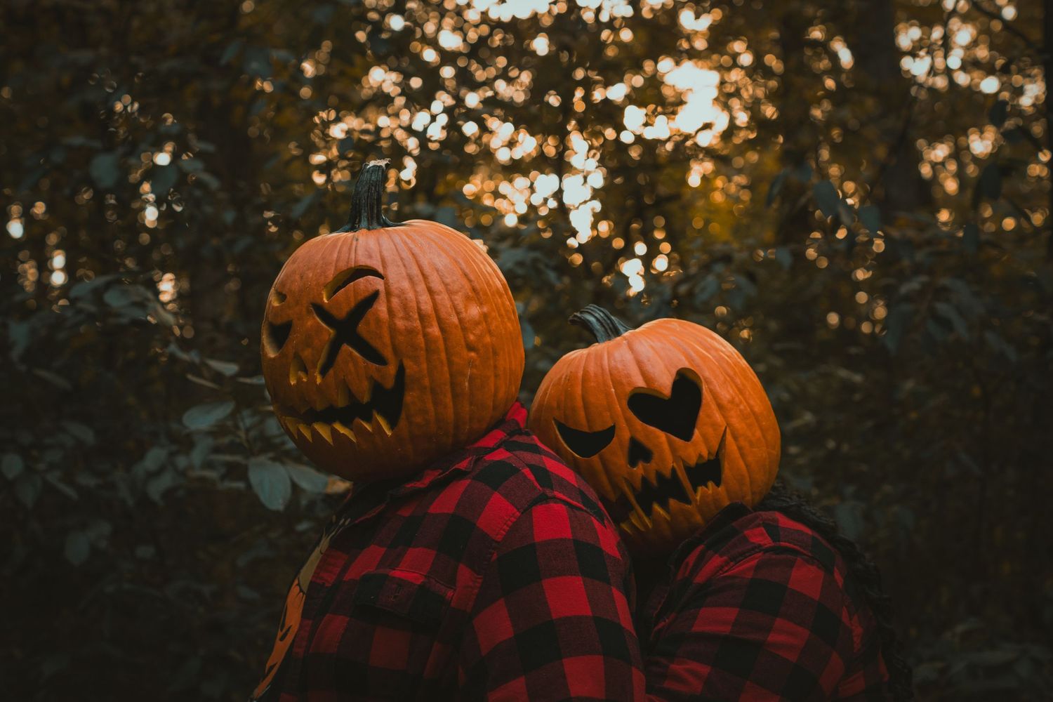 A person in a red plaid shirt holds a carved pumpkin in an autumn forest setting at sunset.
