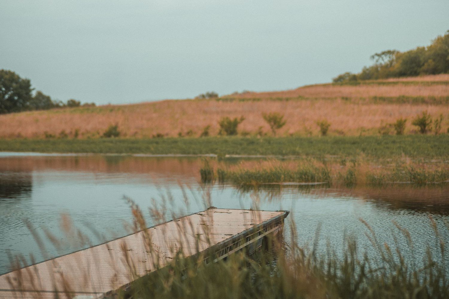 A weathered wooden dock extends into a calm lake surrounded by golden marsh grasses and lush green fields under a cloudy sky.