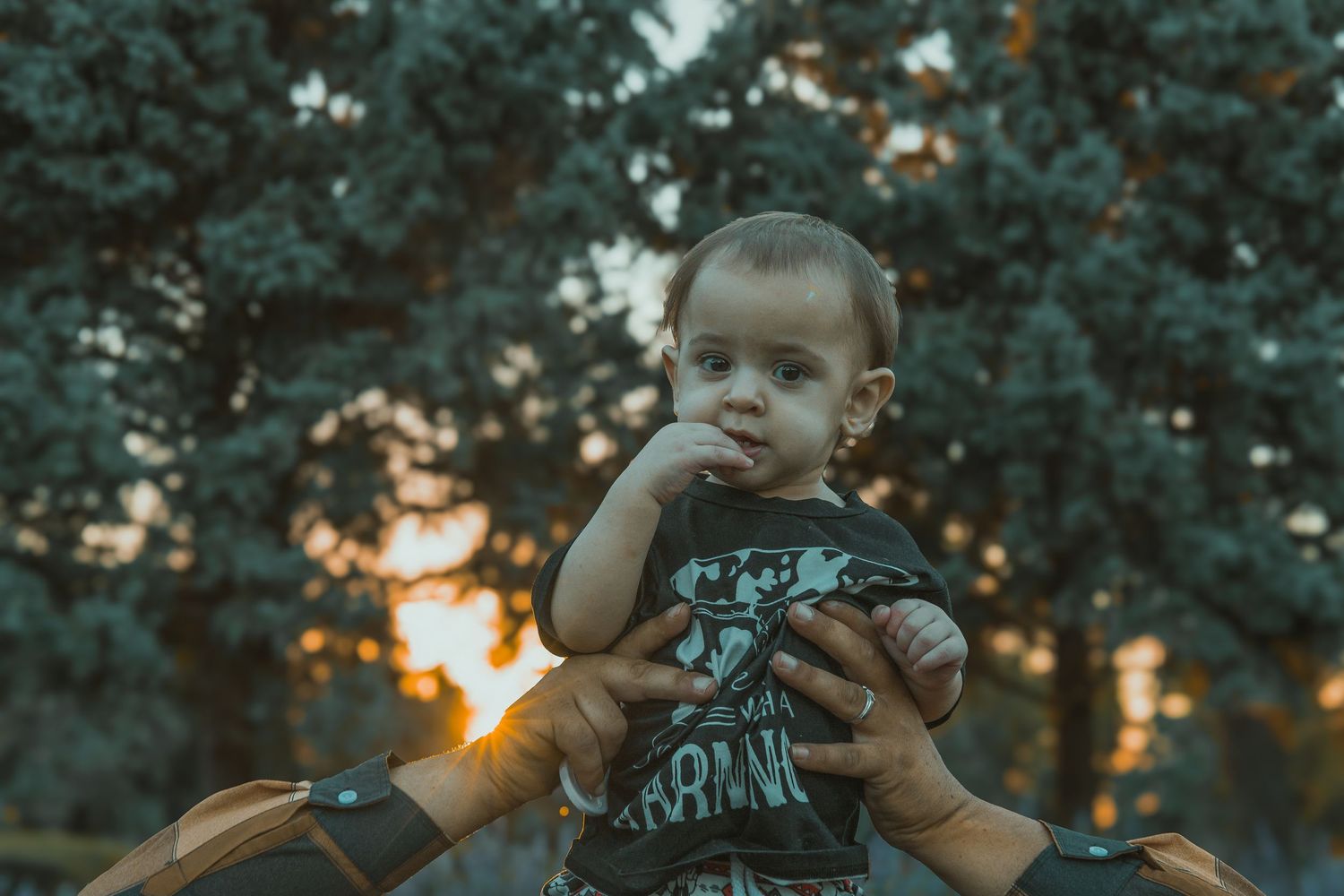 A young child is shown held in the air by his father's hands in nature at sunset, surrounded by evergreen trees, holding a dandelion flower.