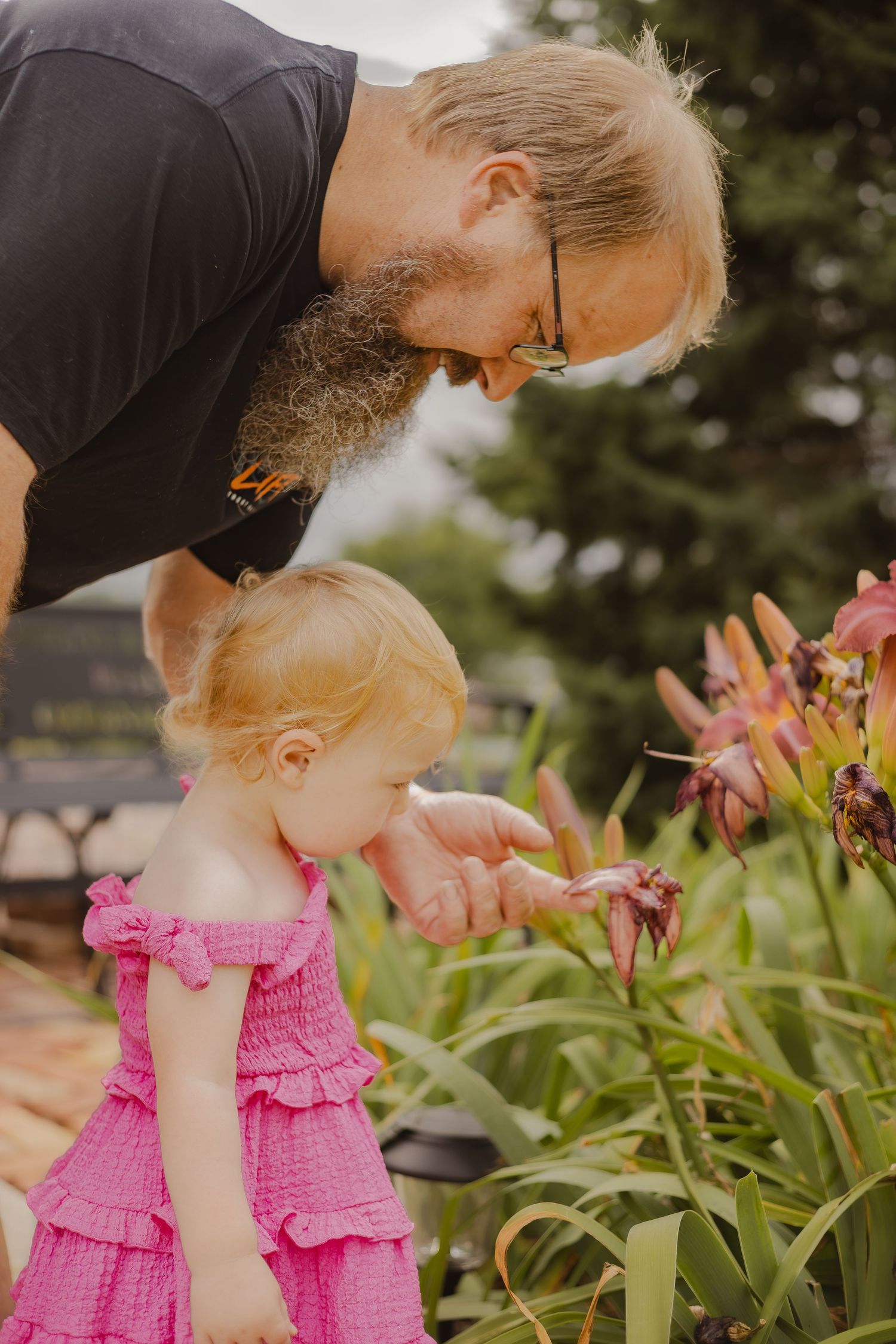 A bearded grandfather in glasses shows a young blonde toddler girl in a pink dress colorful blooming flowers outdoors.