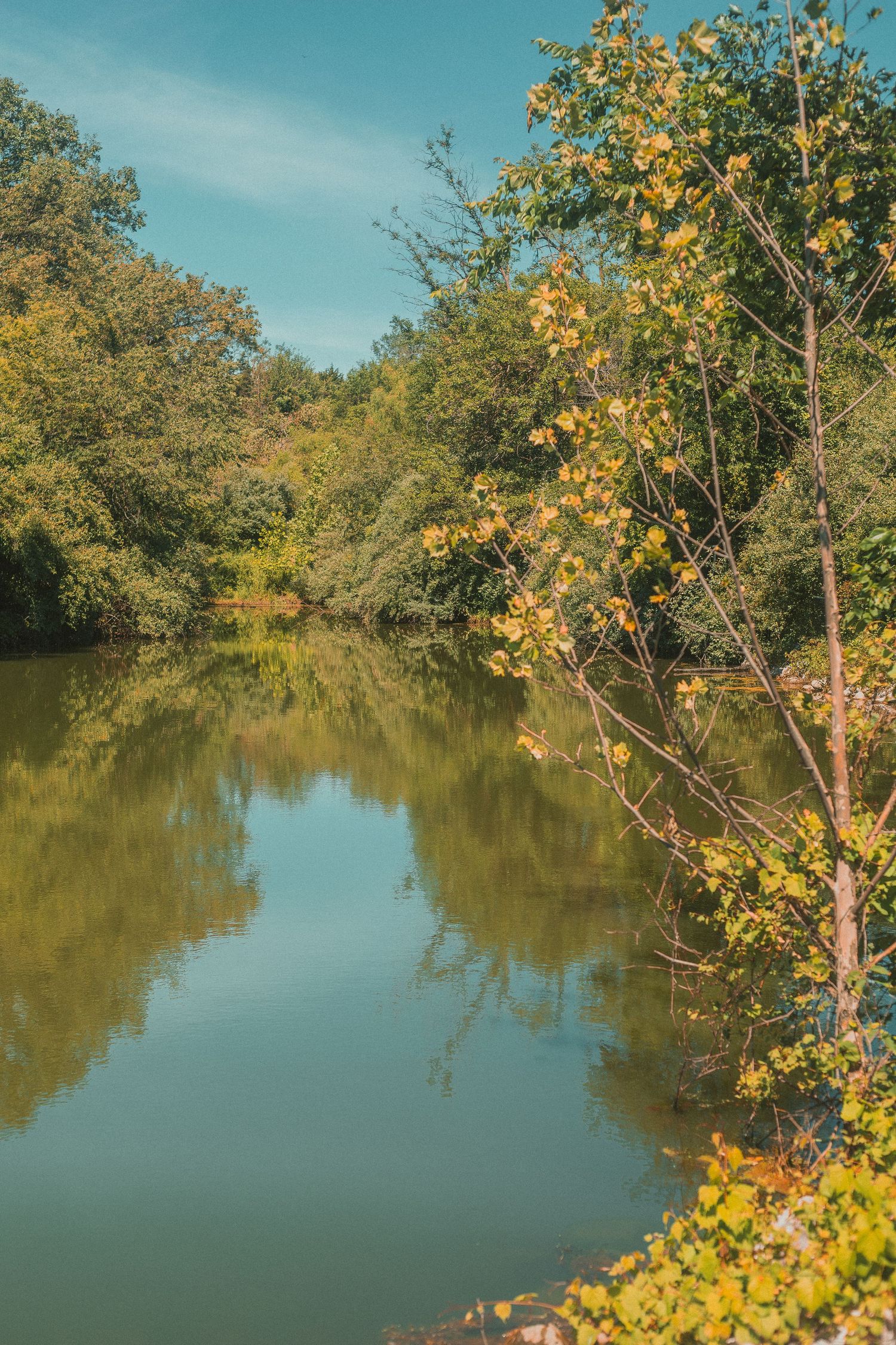 Serene river reflecting lush green trees and blue sky on a calm sunny day in early autumn.