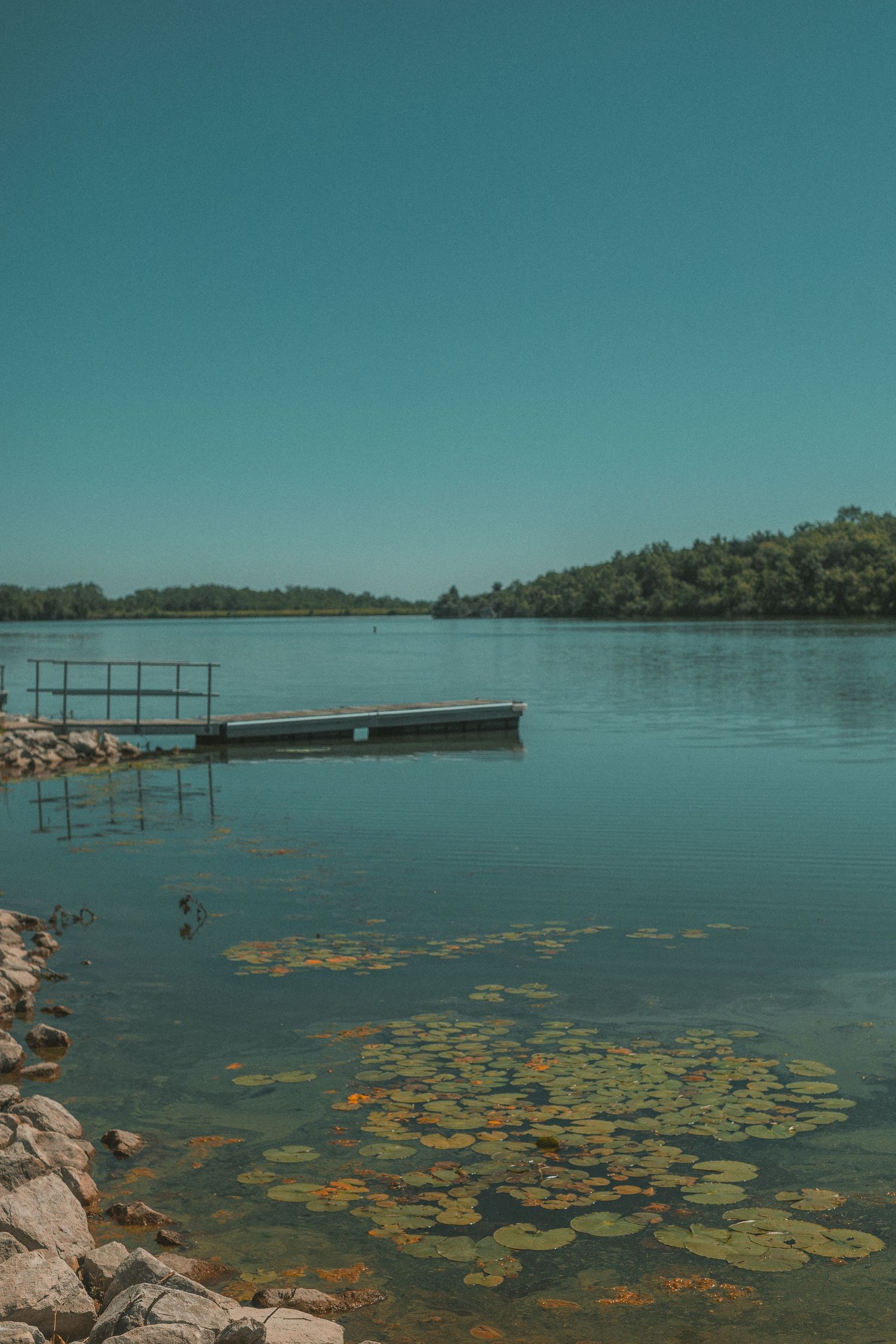 Serene lake with a floating dock, lily pads, rocky shore, and lush green trees under a clear blue sky.