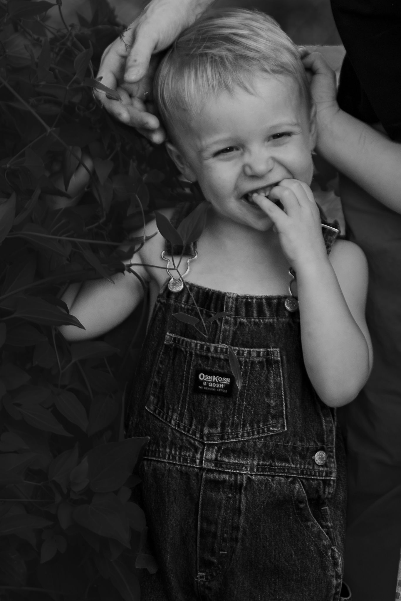 Black and white photo of a smiling toddler in OshKosh overalls, fingers in mouth, held by adult hands.