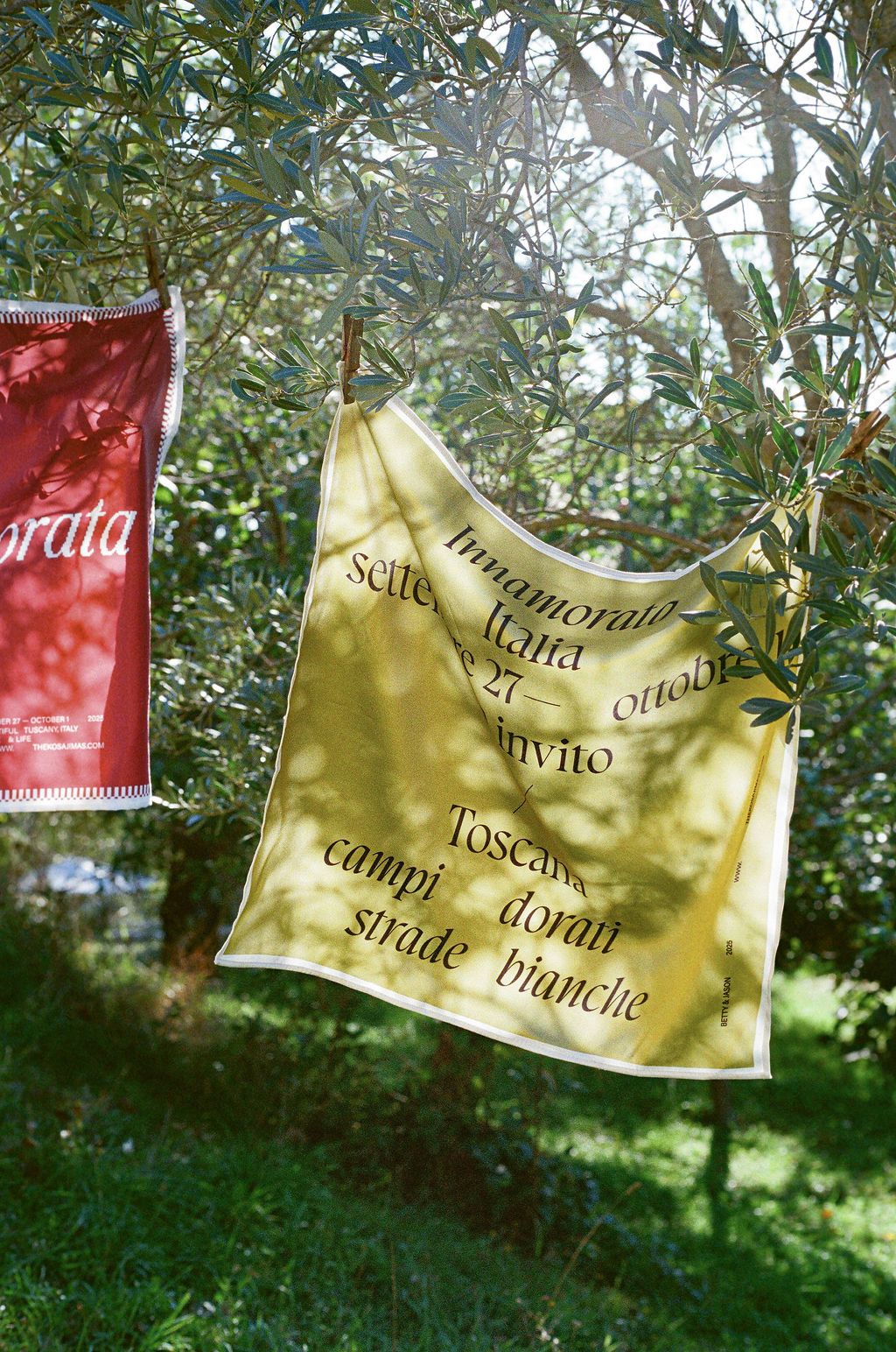 Yellow and red, custom-made silk fabric handkerchiefs hanging on clotheslines on olive trees in Tuscany Italy.
