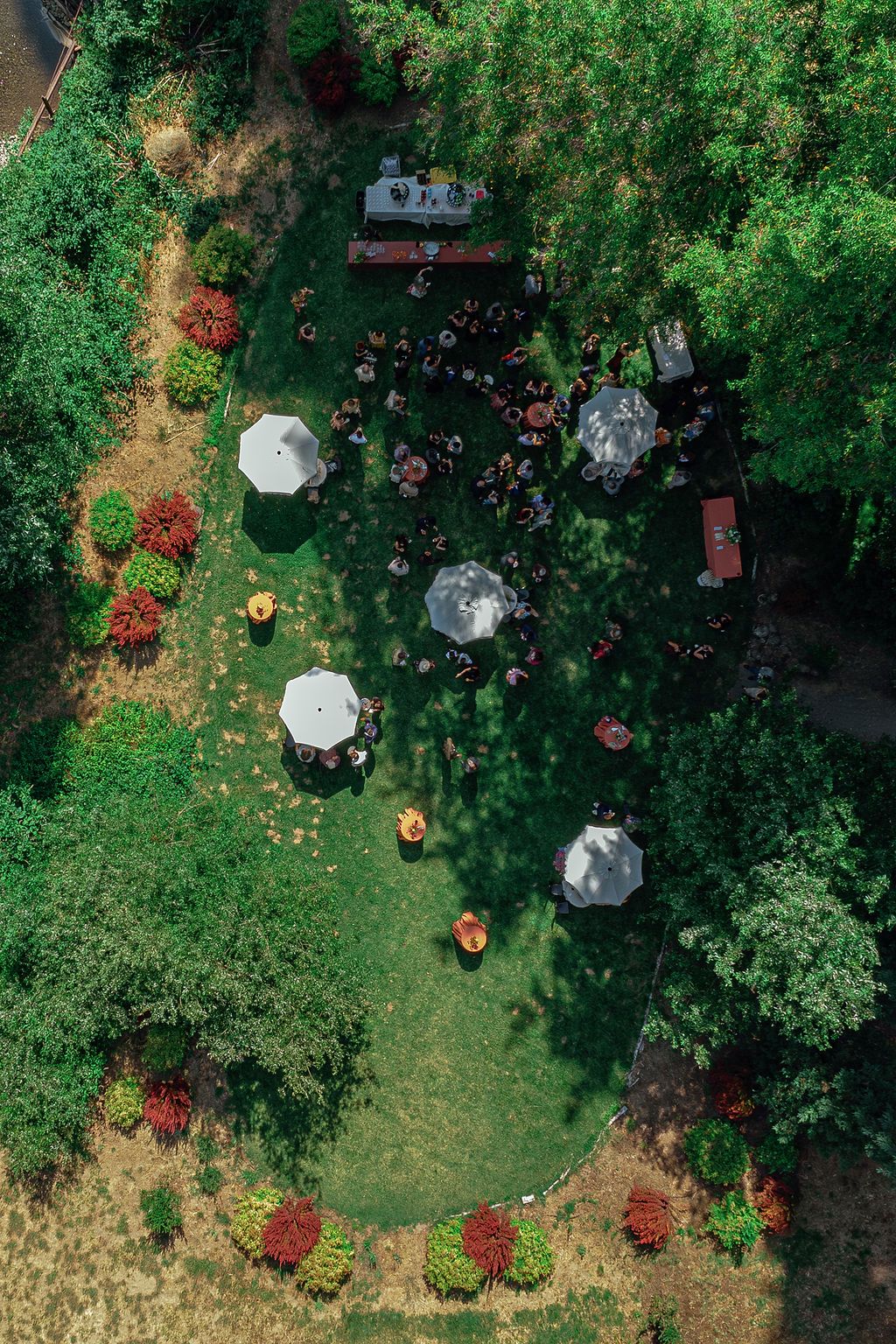 Aerial view of a garden wedding venue with white tents and colorful flower arrangements scattered across green lawn.