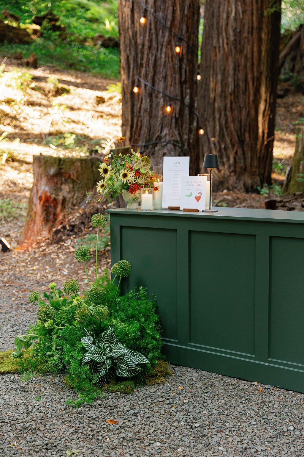 Green wooden planter boxes filled with lush foliage line a gravel path among tall redwood trees.