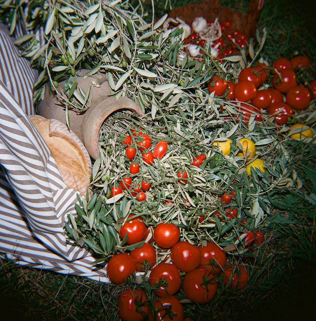 Fresh cherry tomatoes and olive branches arranged on a striped cloth in natural lighting  in Tuscany, Italy.