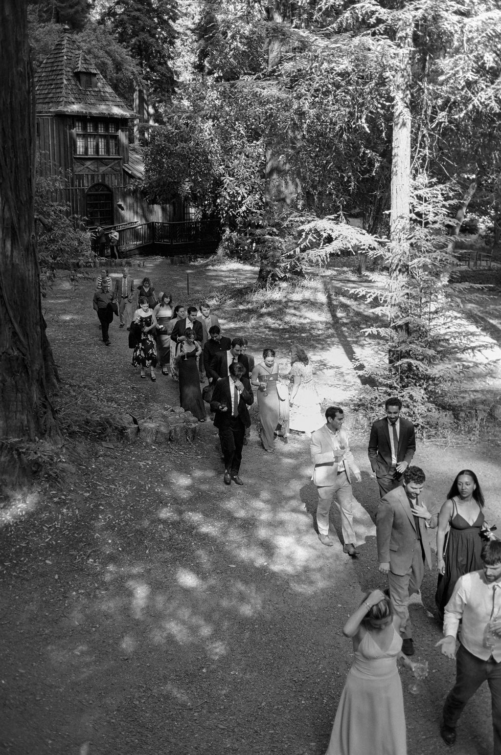 A wedding party walks along a shaded forest path during an outdoor ceremony.