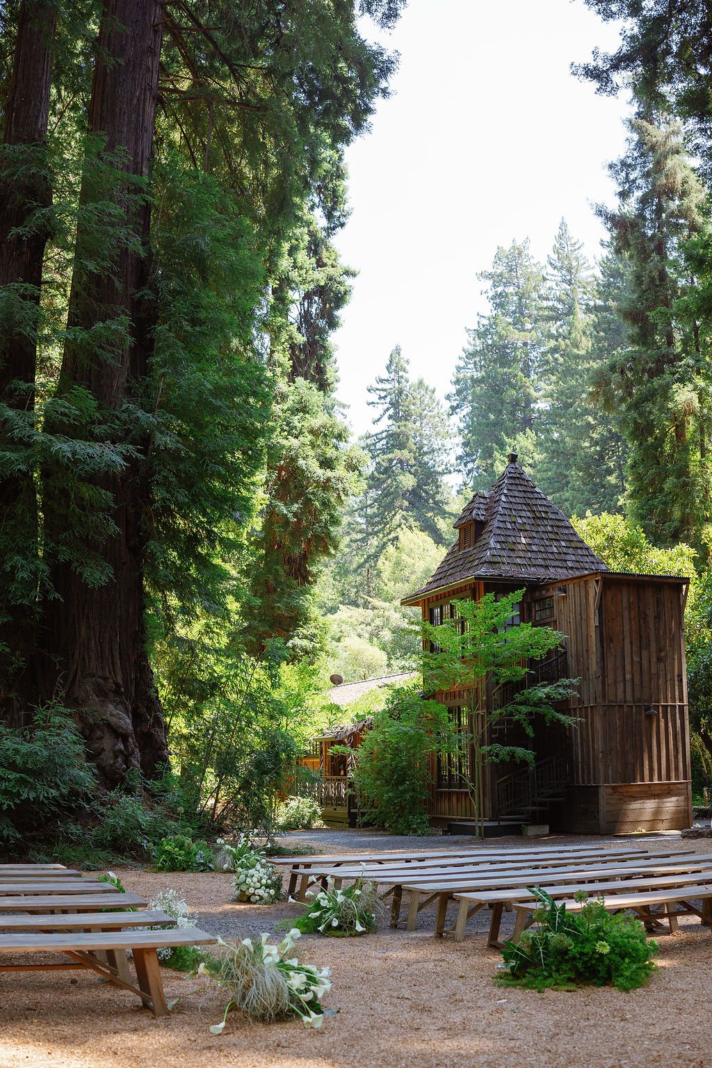 Outdoor amphitheater with wooden benches and stage surrounded by towering redwood trees.