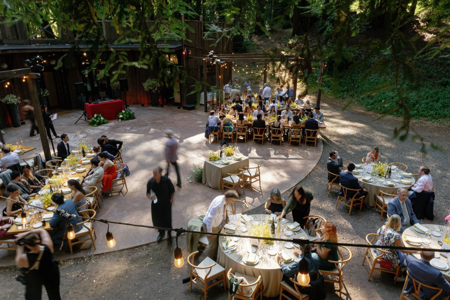 An outdoor wedding dining setup with tables arranged among majestic redwood trees at dusk.