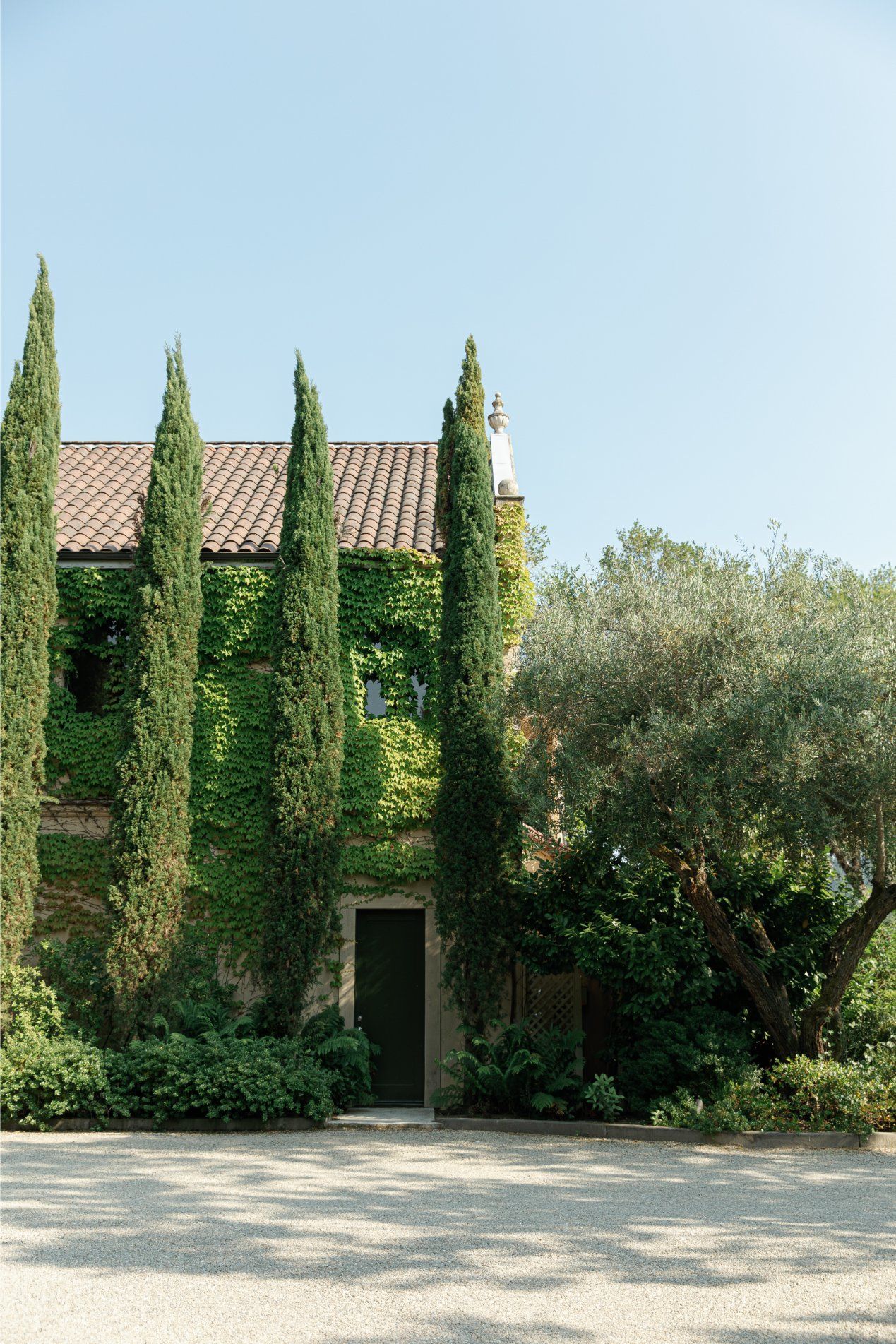 Mediterranean style house with tall cypress trees and climbing vines set against a clear blue sky.
