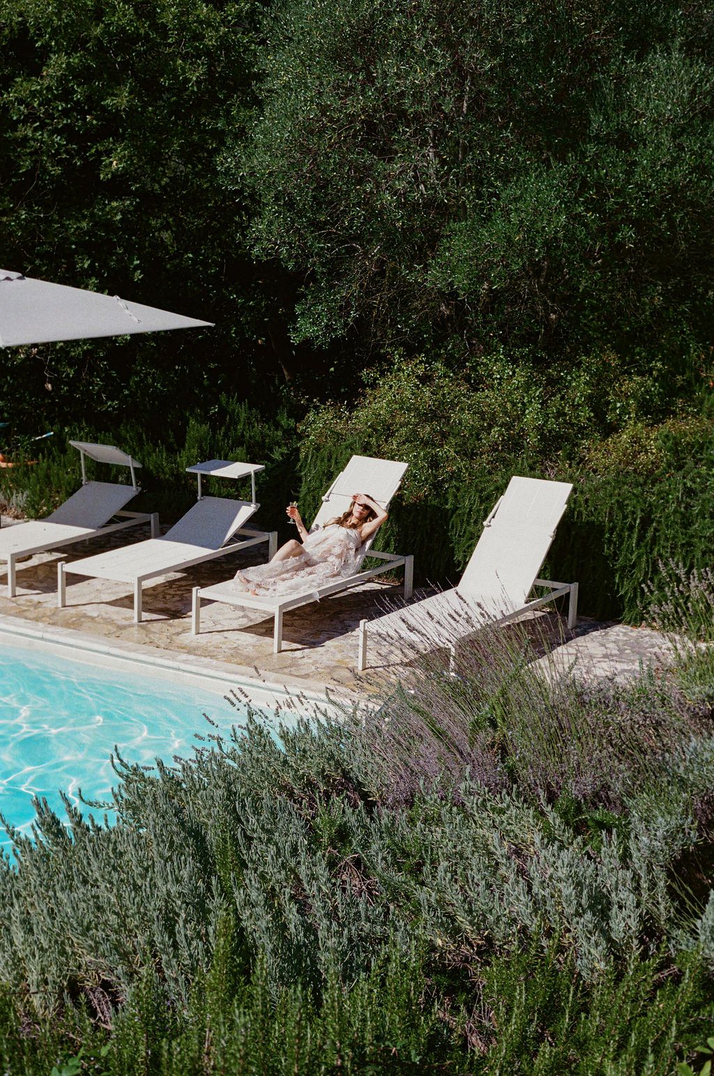Lounge chairs and sunbeds arranged by a swimming pool with lavender plants growing in the foreground in Tuscany, Italy. Bride lounging.
