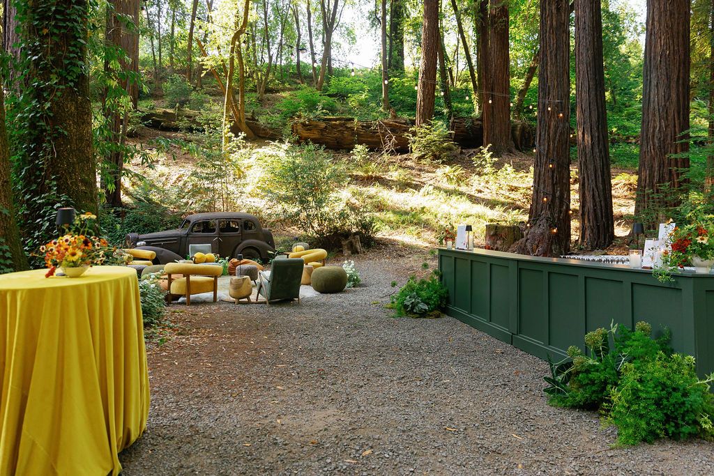 Wooded outdoor event space with yellow tablecloths and natural forest backdrop.