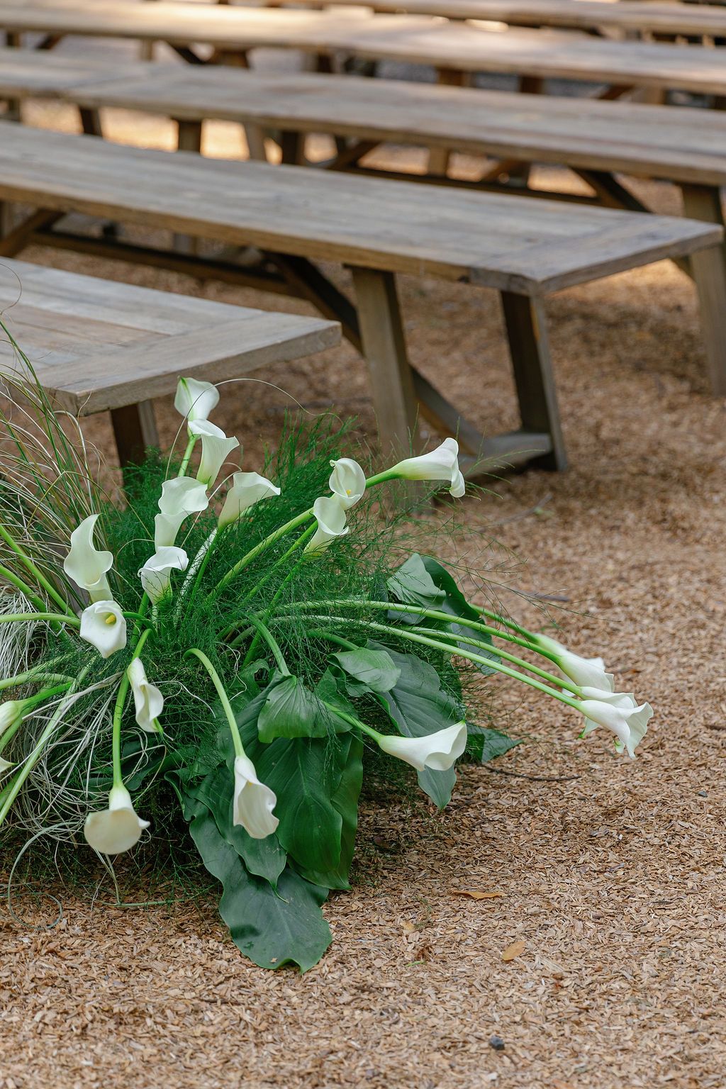 White calla lilies and green foliage arranged along wooden benches creating an elegant aisle decoration in California.