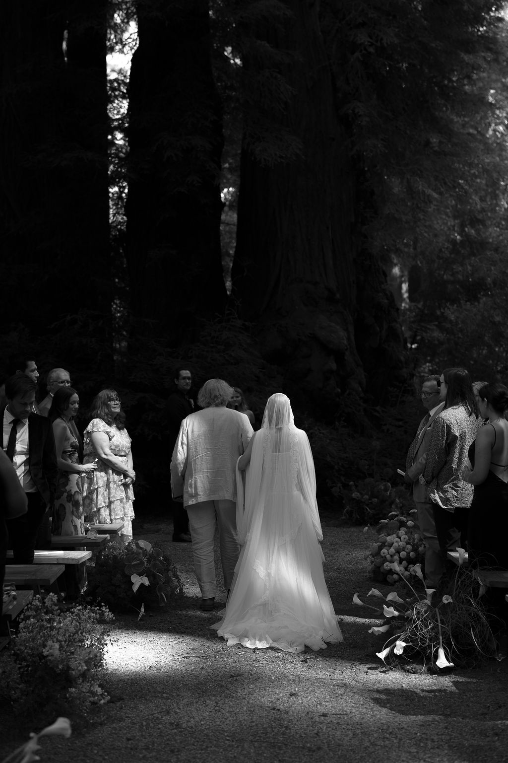 Wedding ceremony gathering in a dimly lit forest setting captured in black and white.