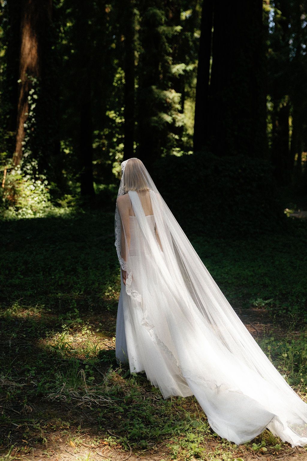 A flowing white wedding veil trails elegantly through a sunlit forest setting.